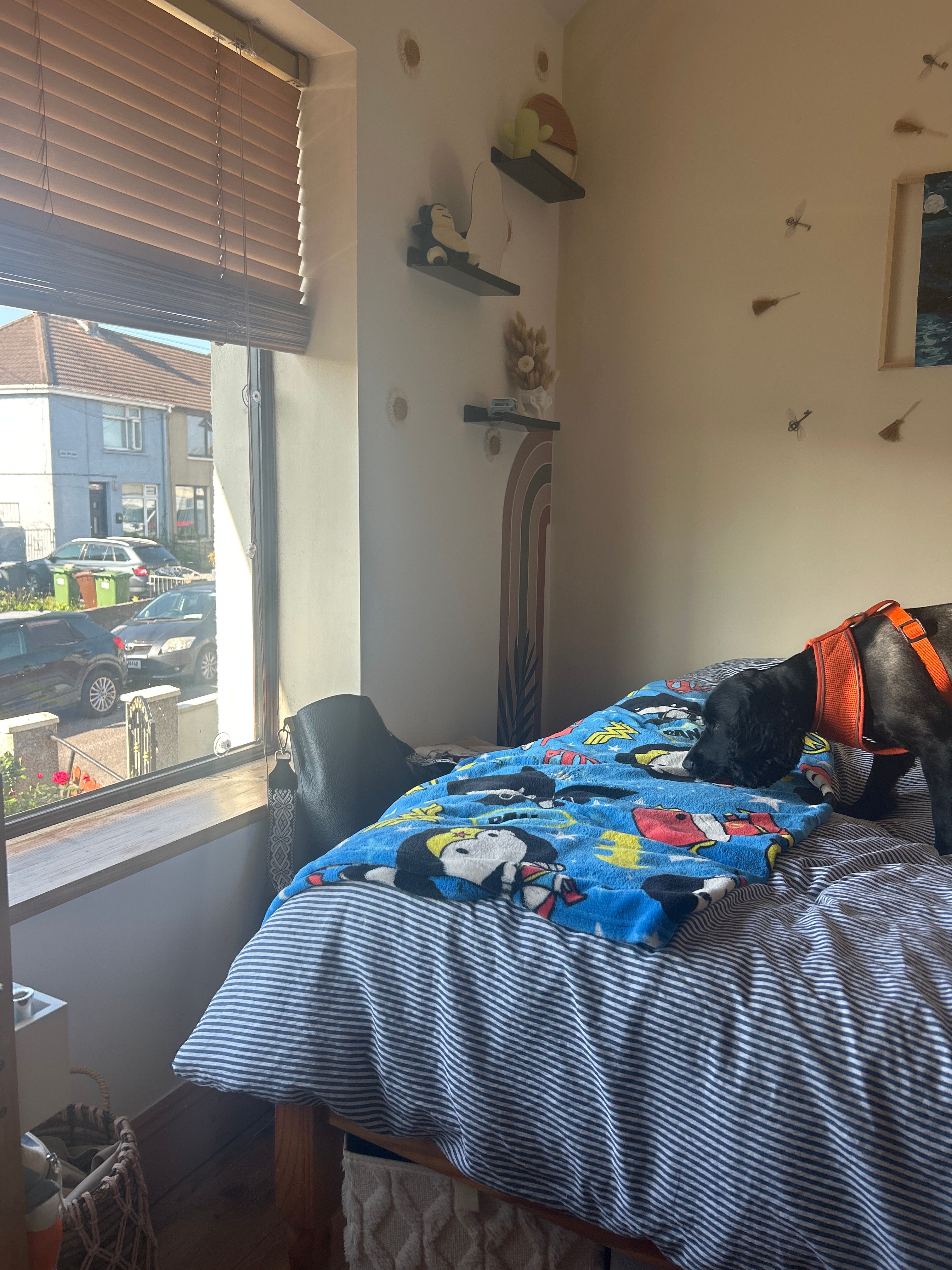 image-18