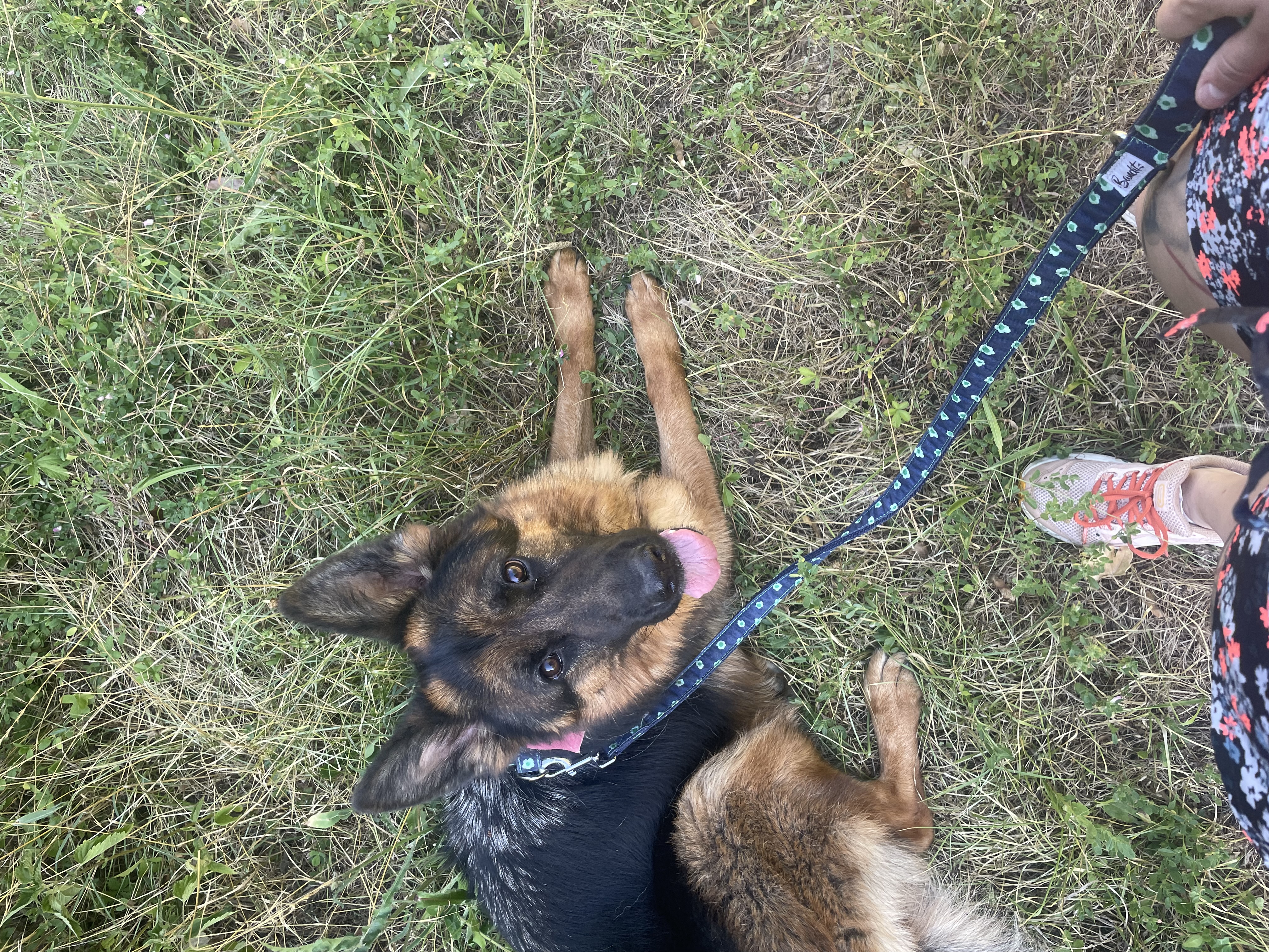 image-6