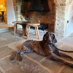 Josie
