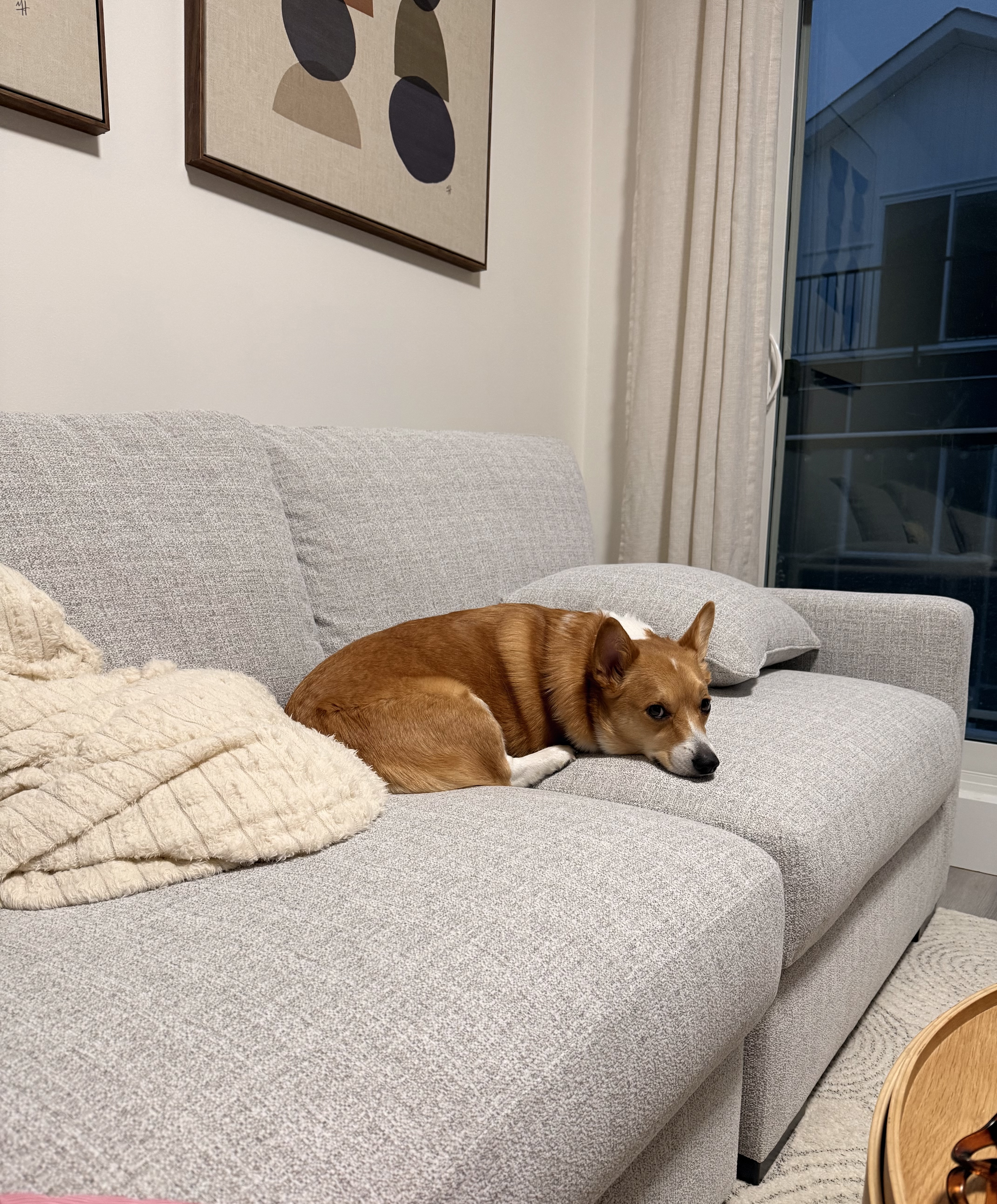 image-20