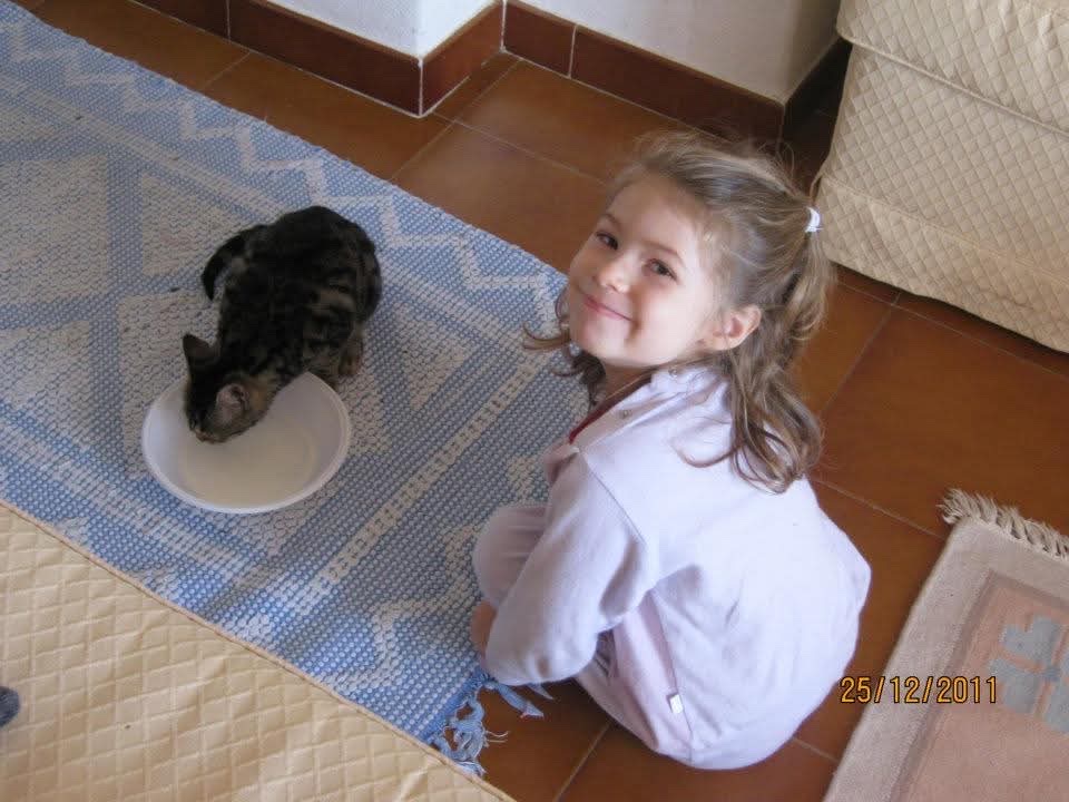 image-17
