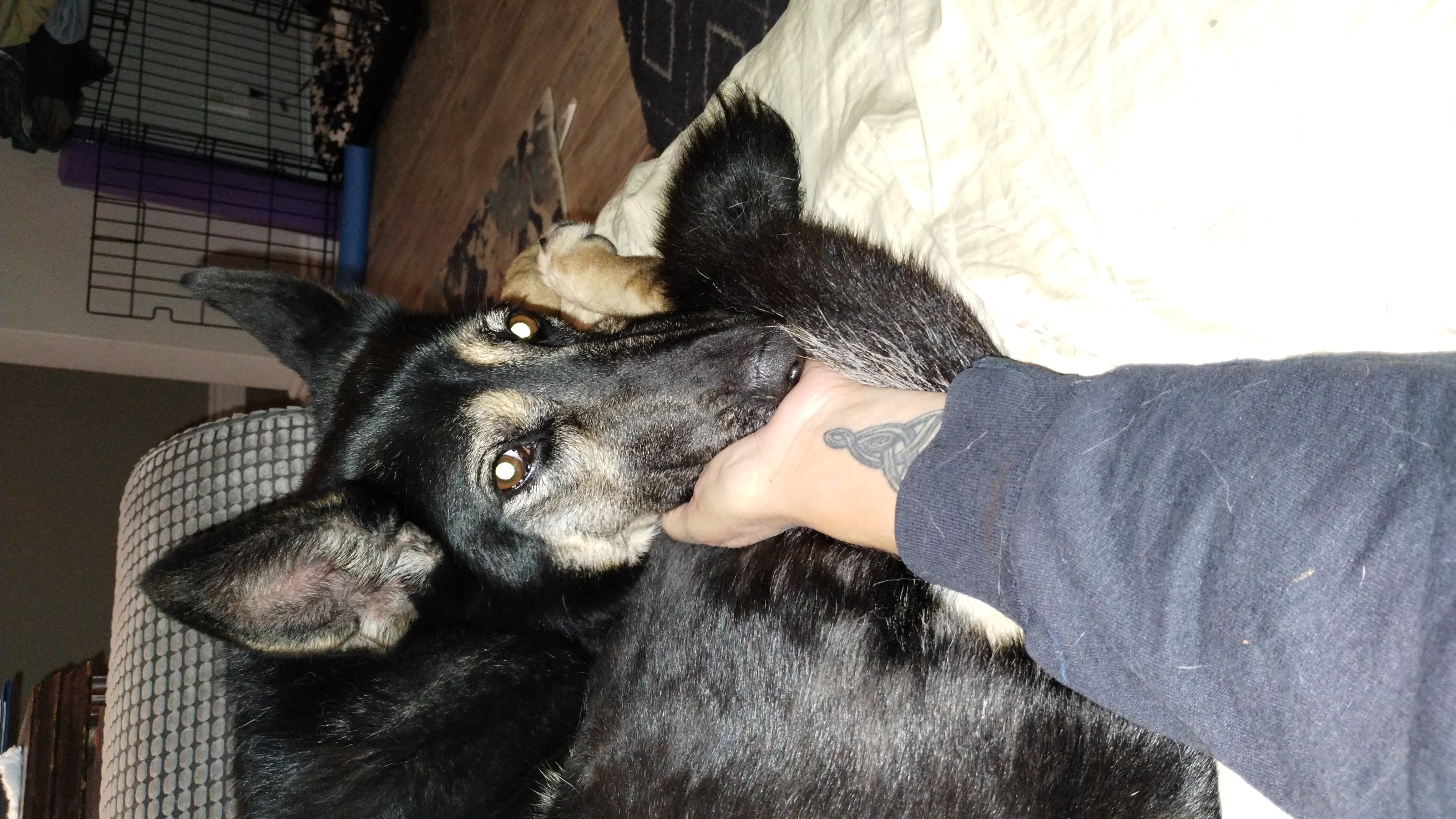 image-5