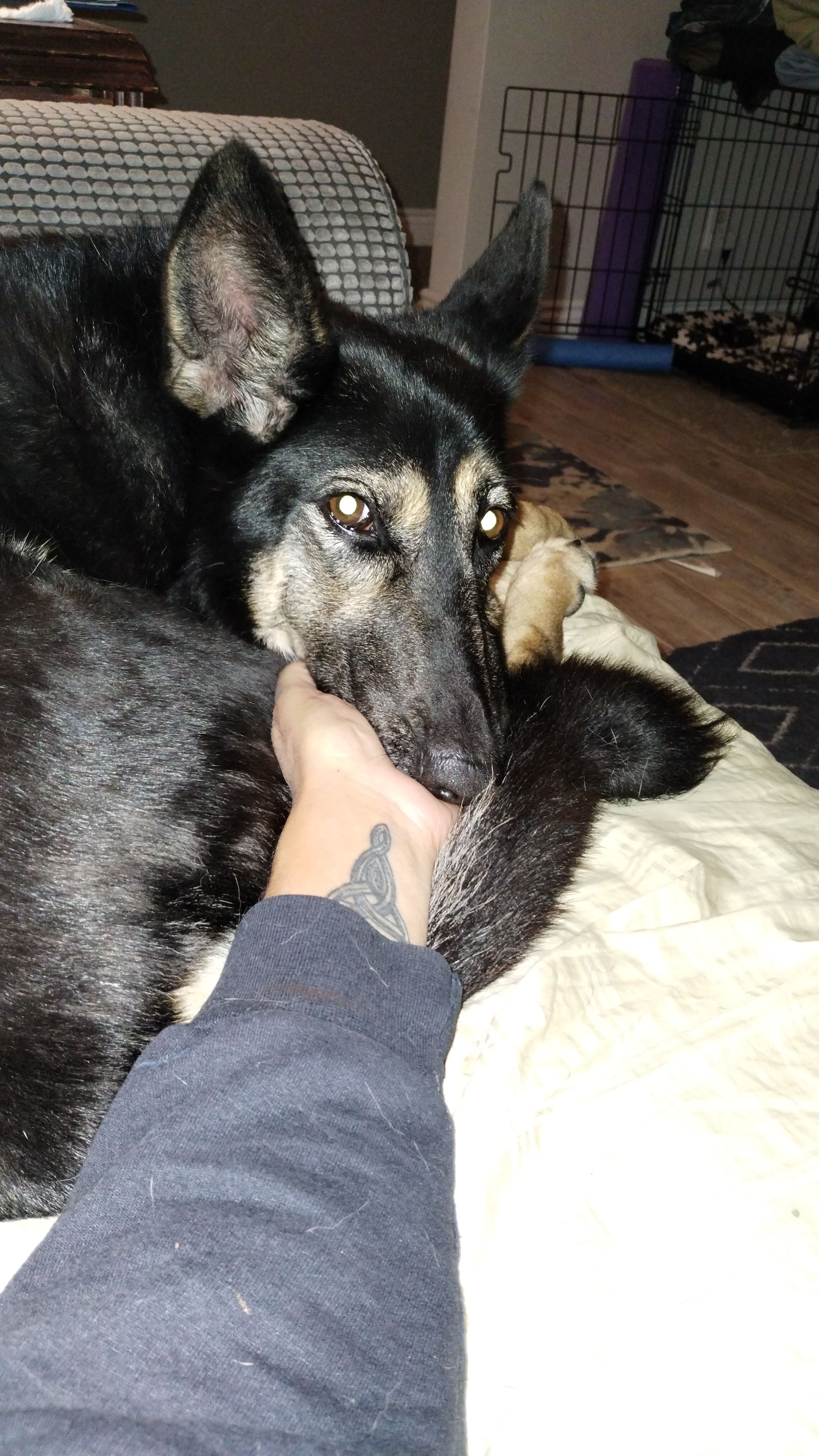 image-5
