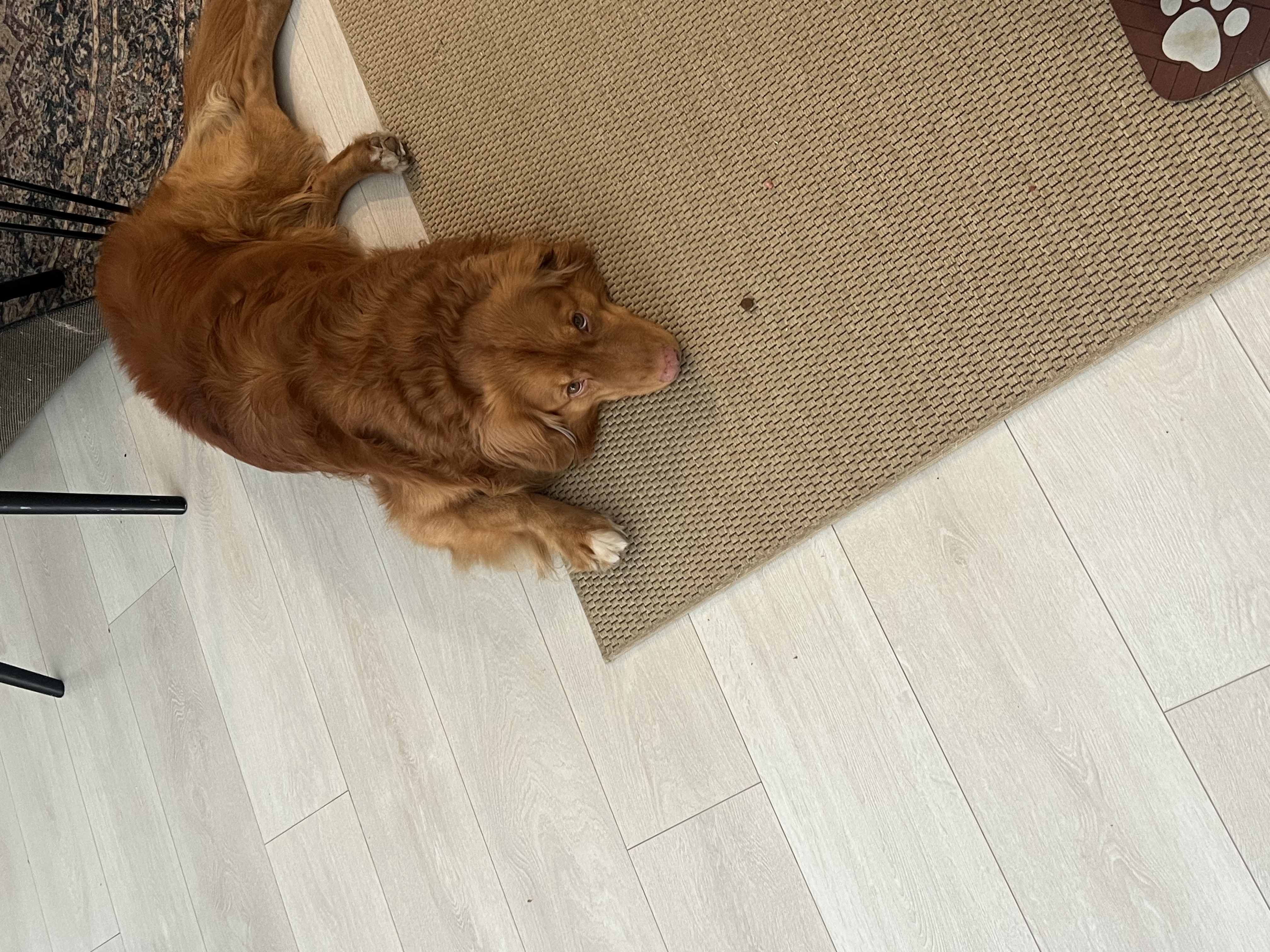 image-7