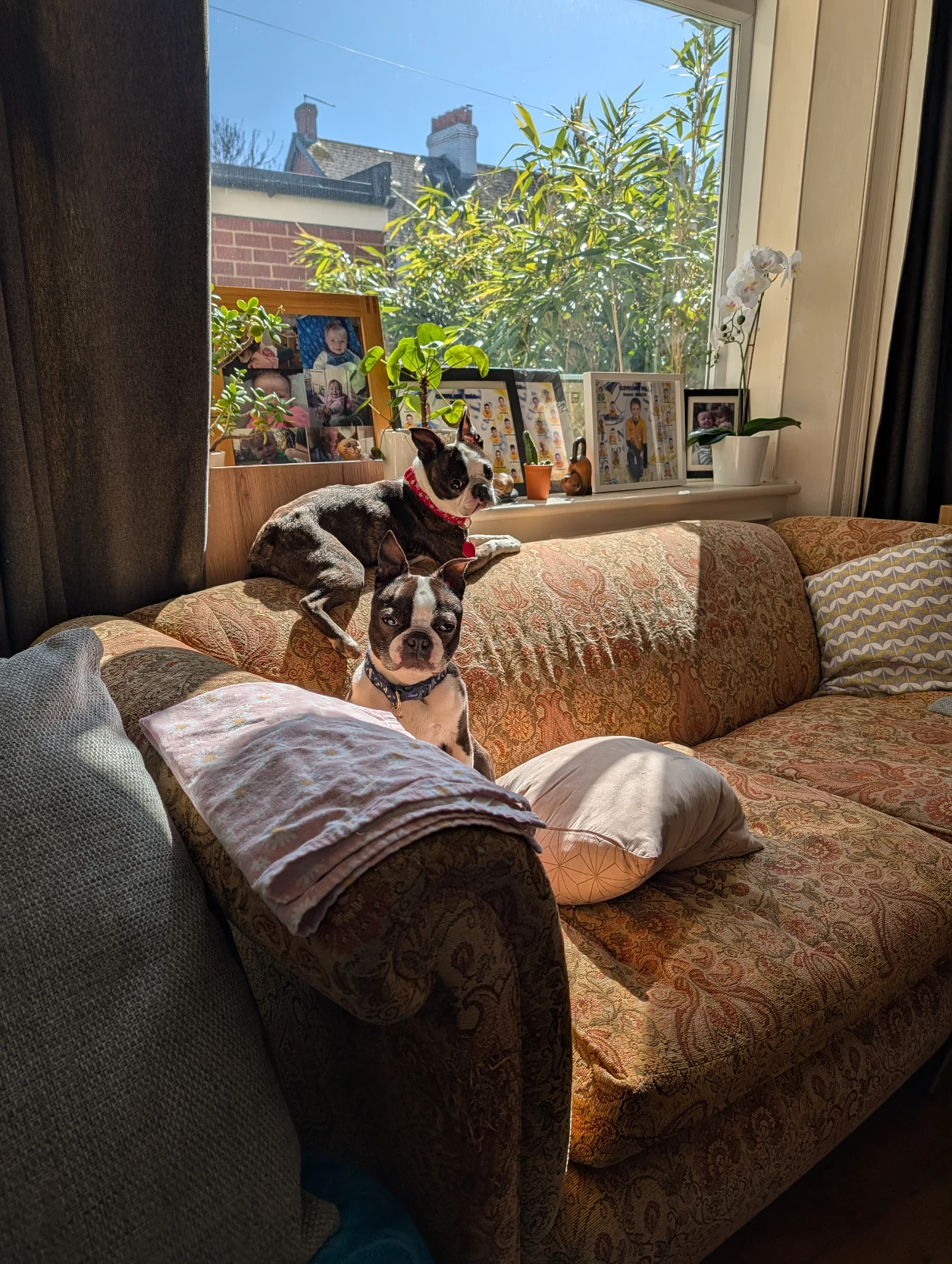 image-19