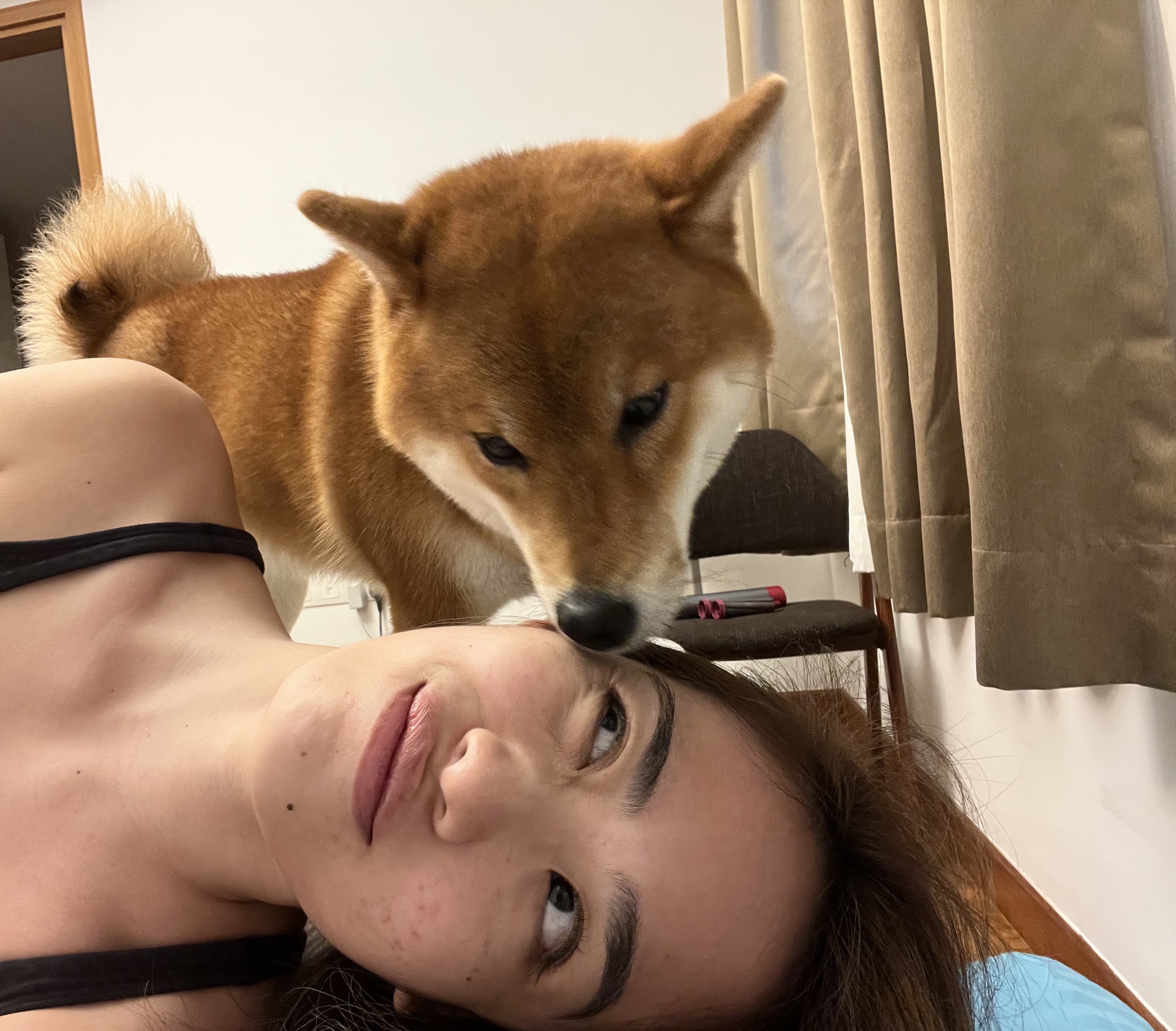 image-7