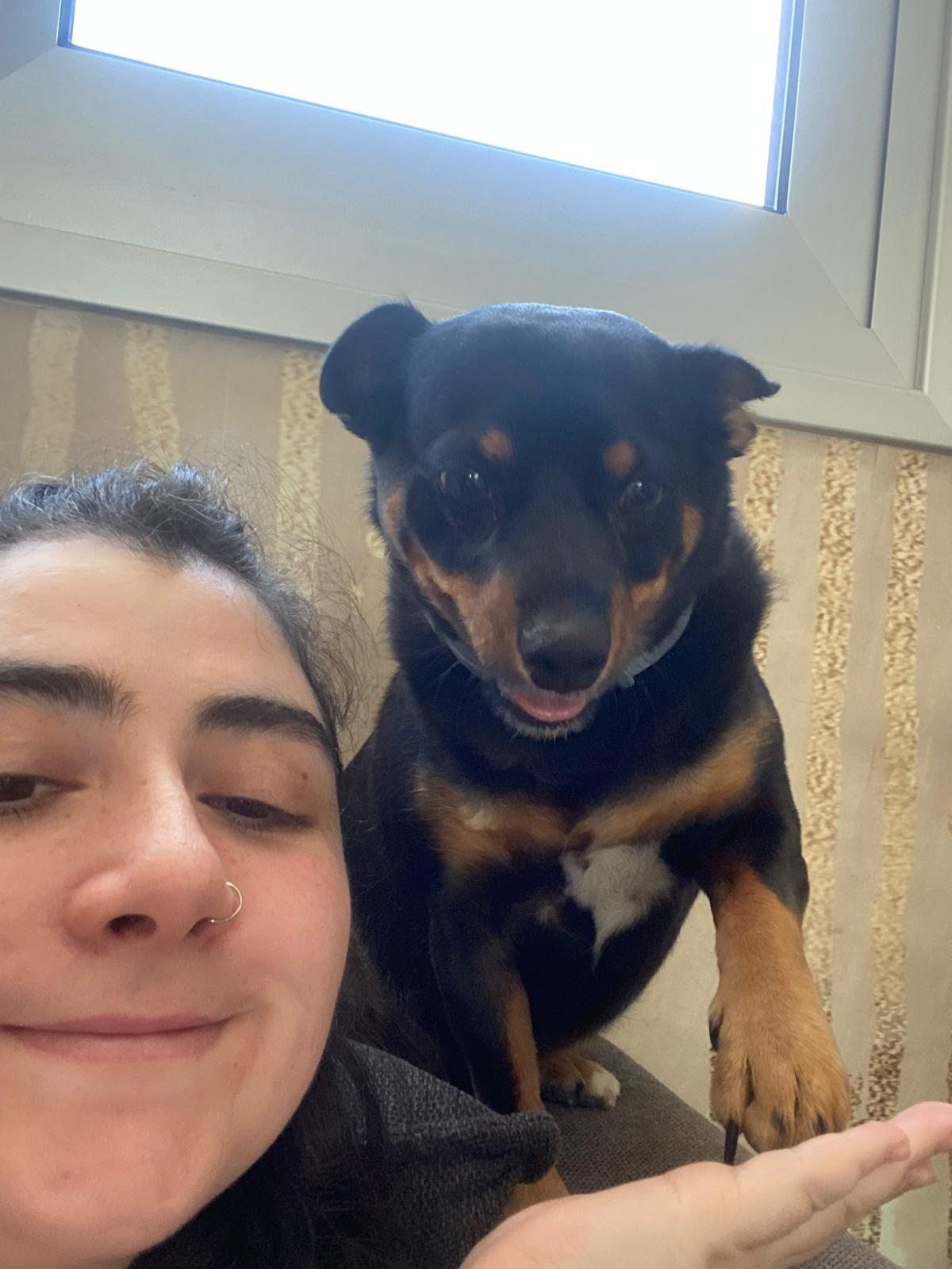 image-8