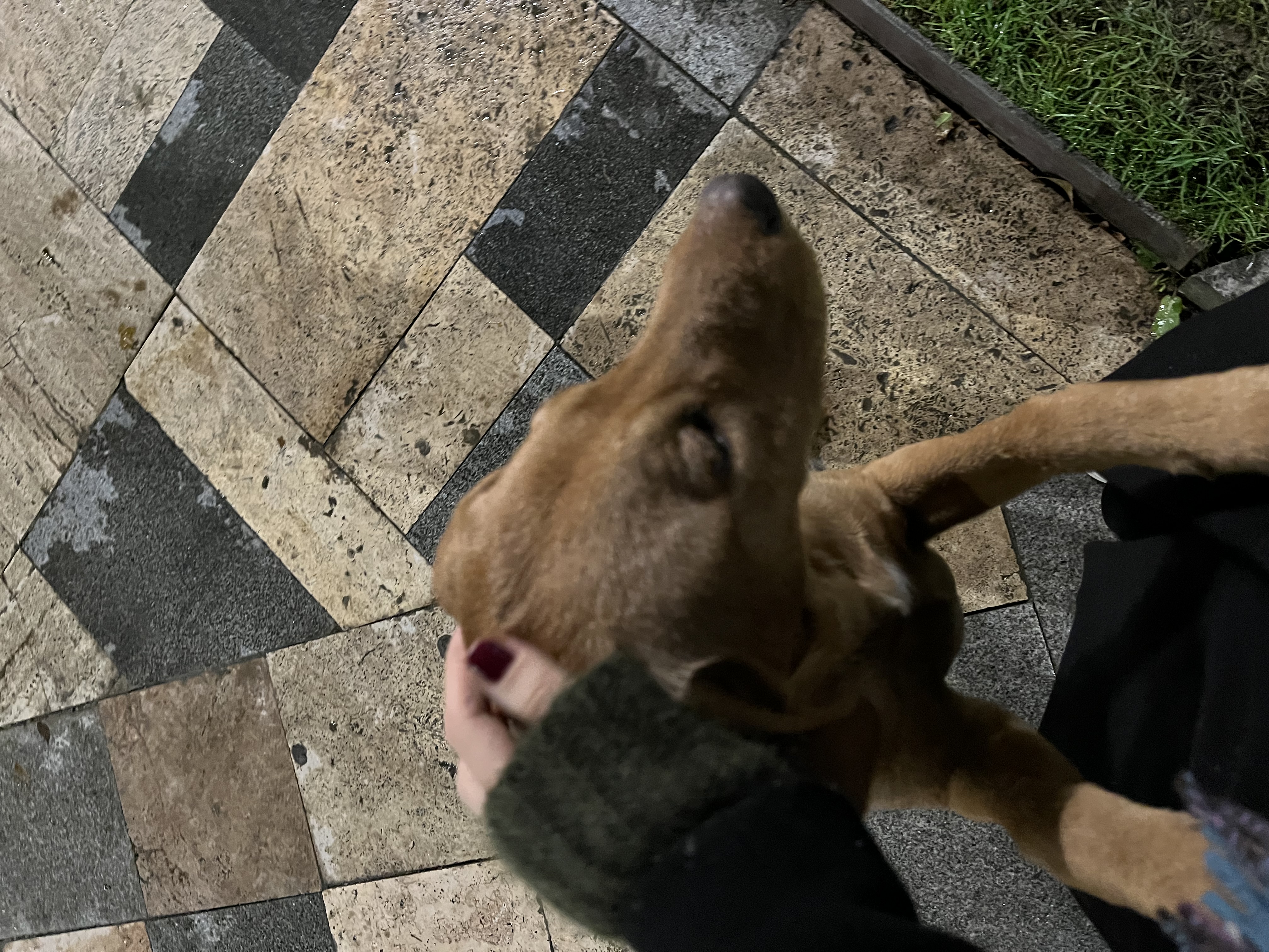 image-10