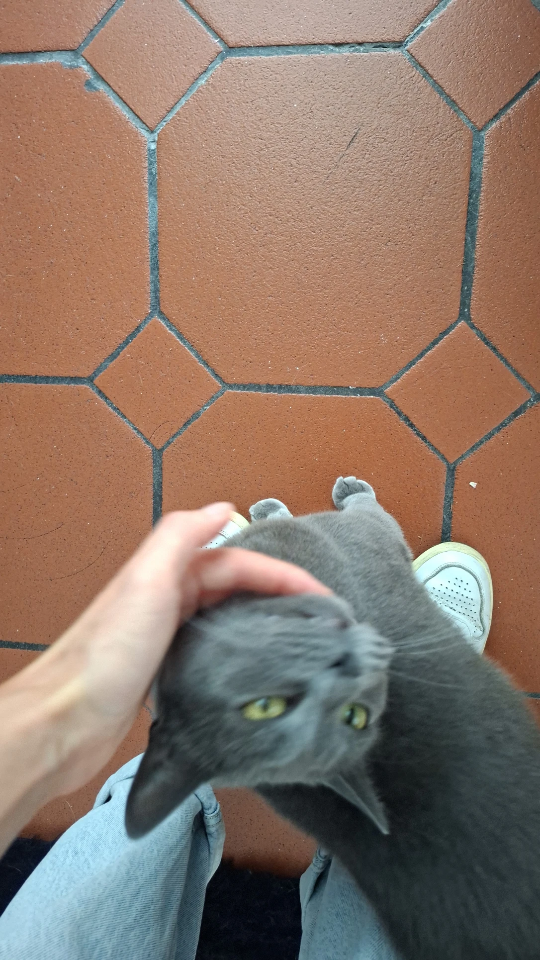 image-8