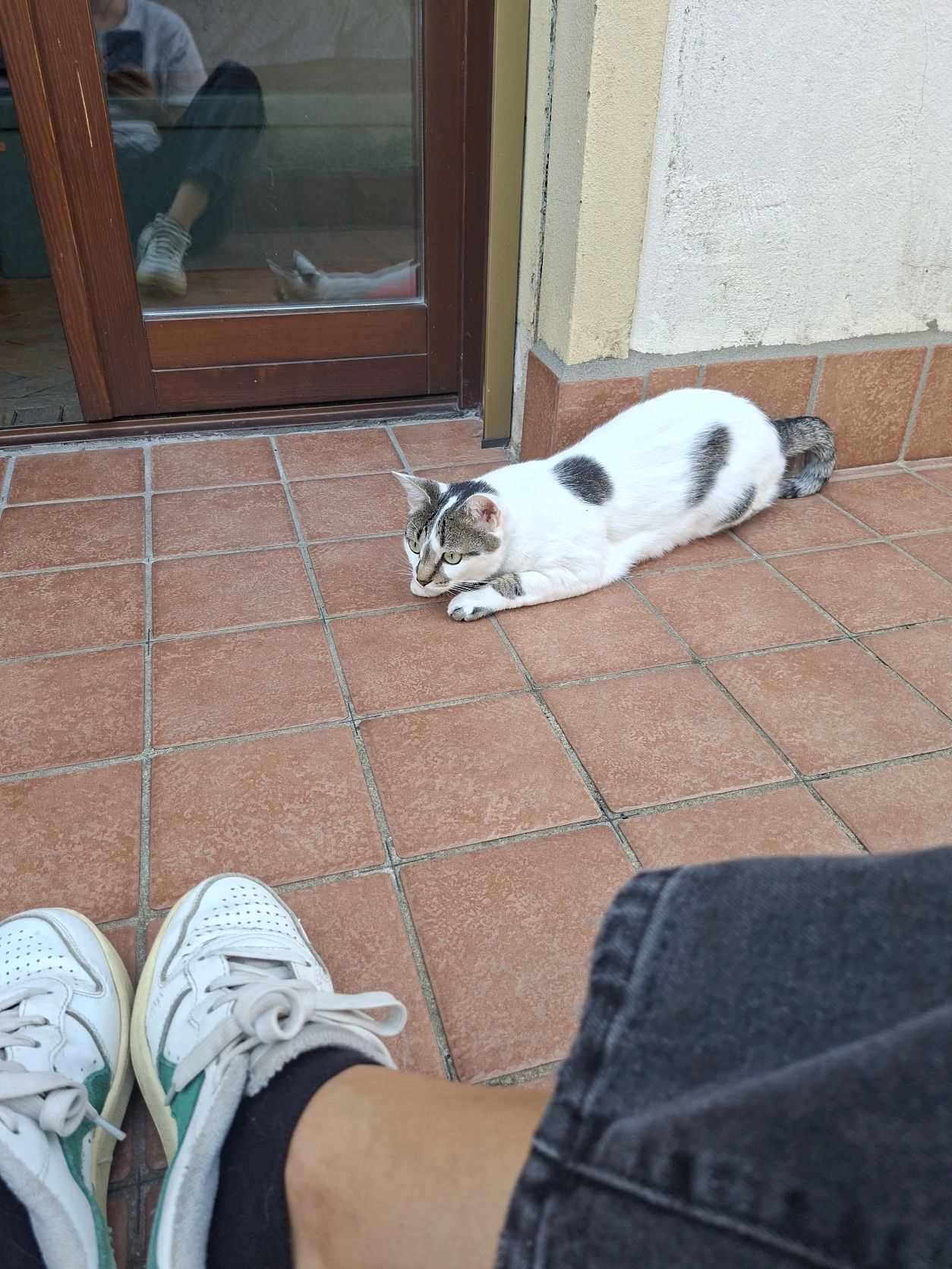 image-7