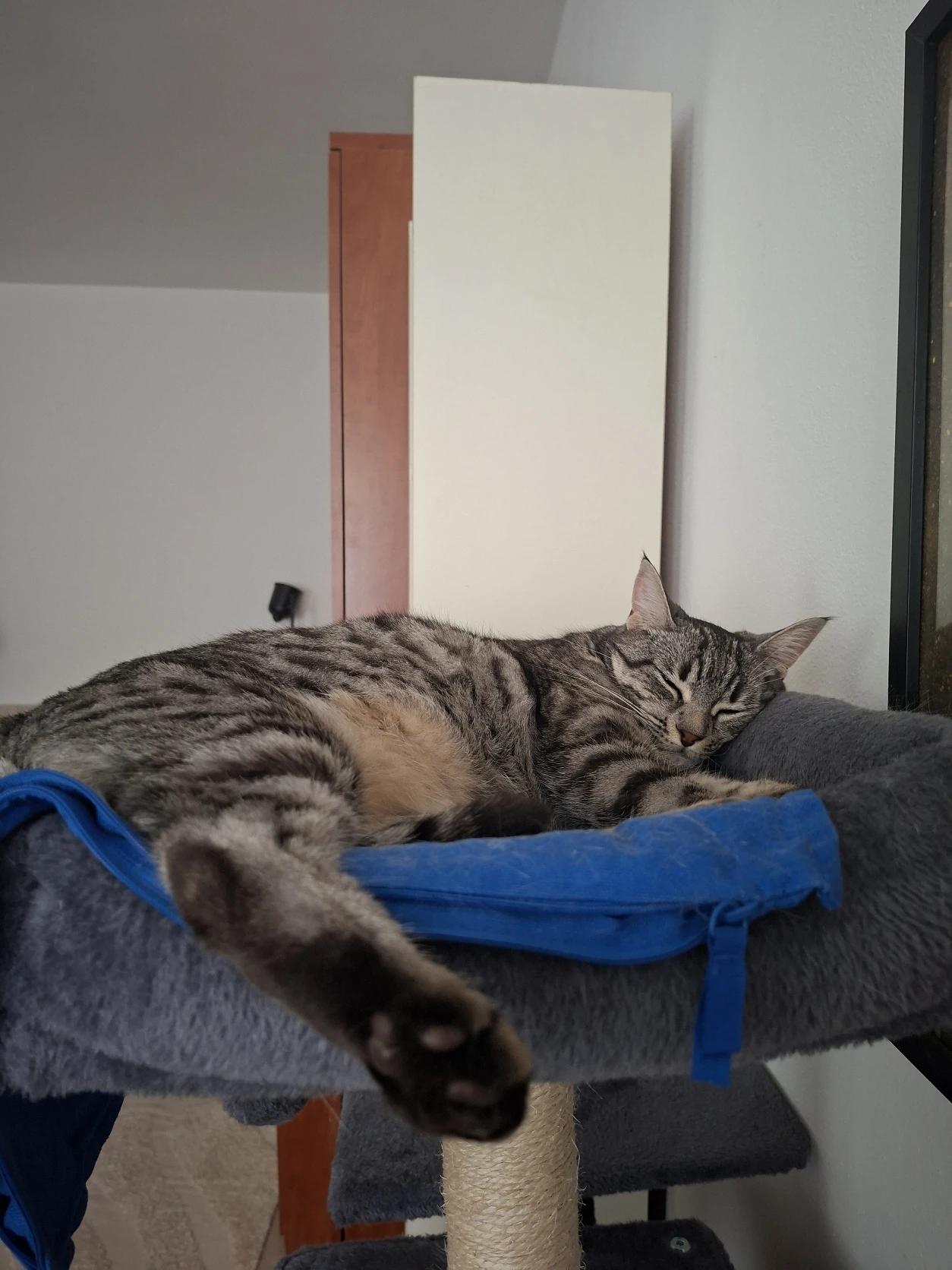 image-11