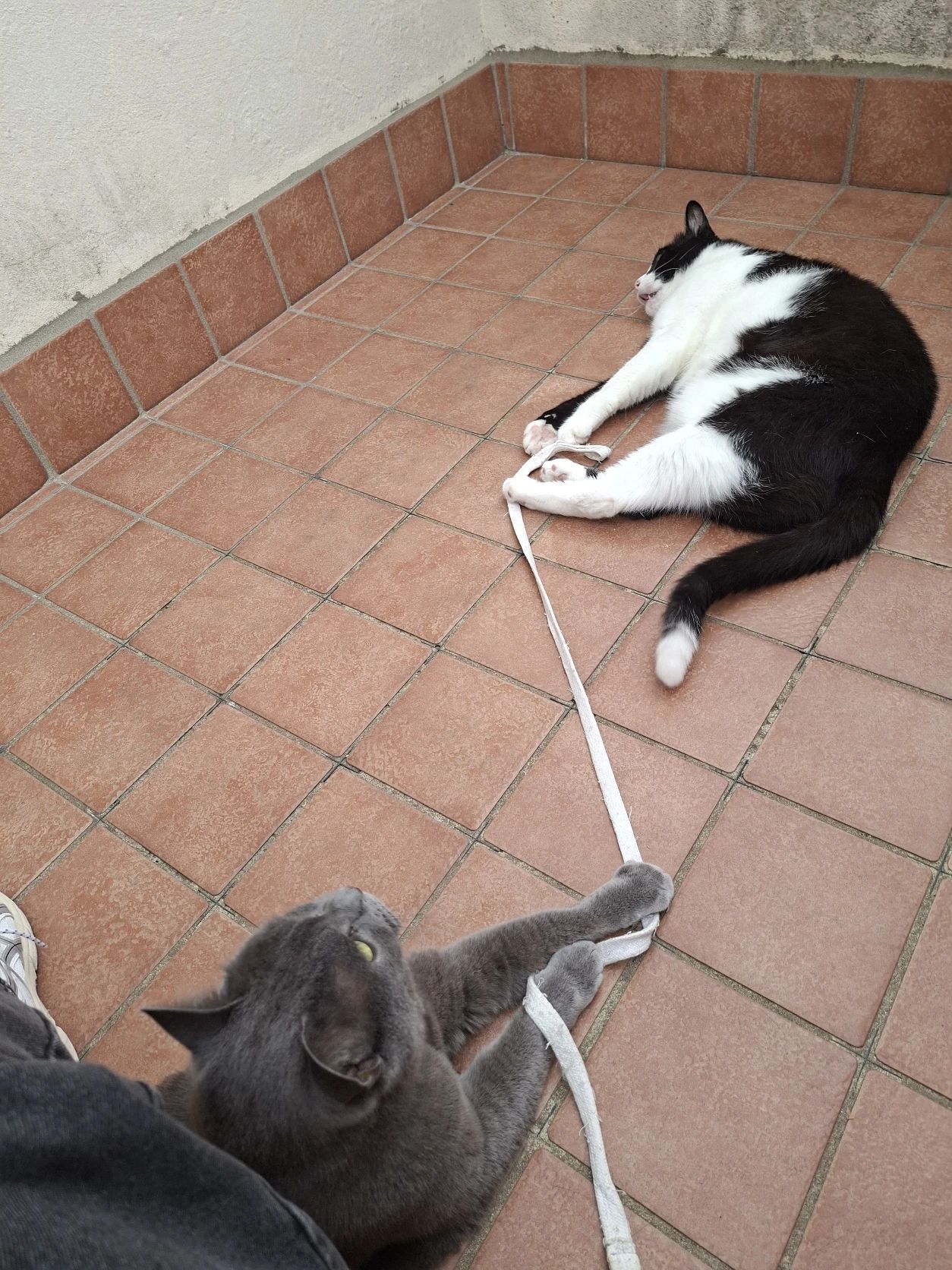 image-9