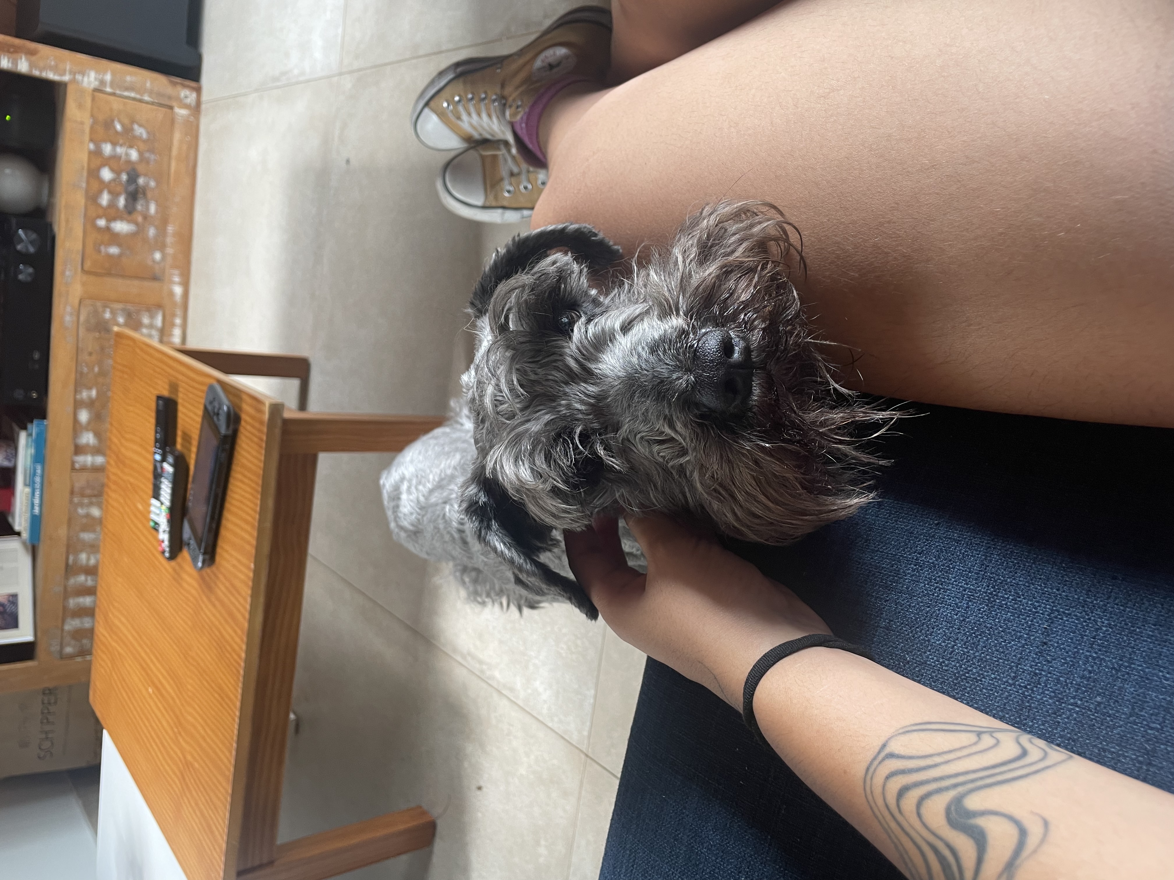 image-7