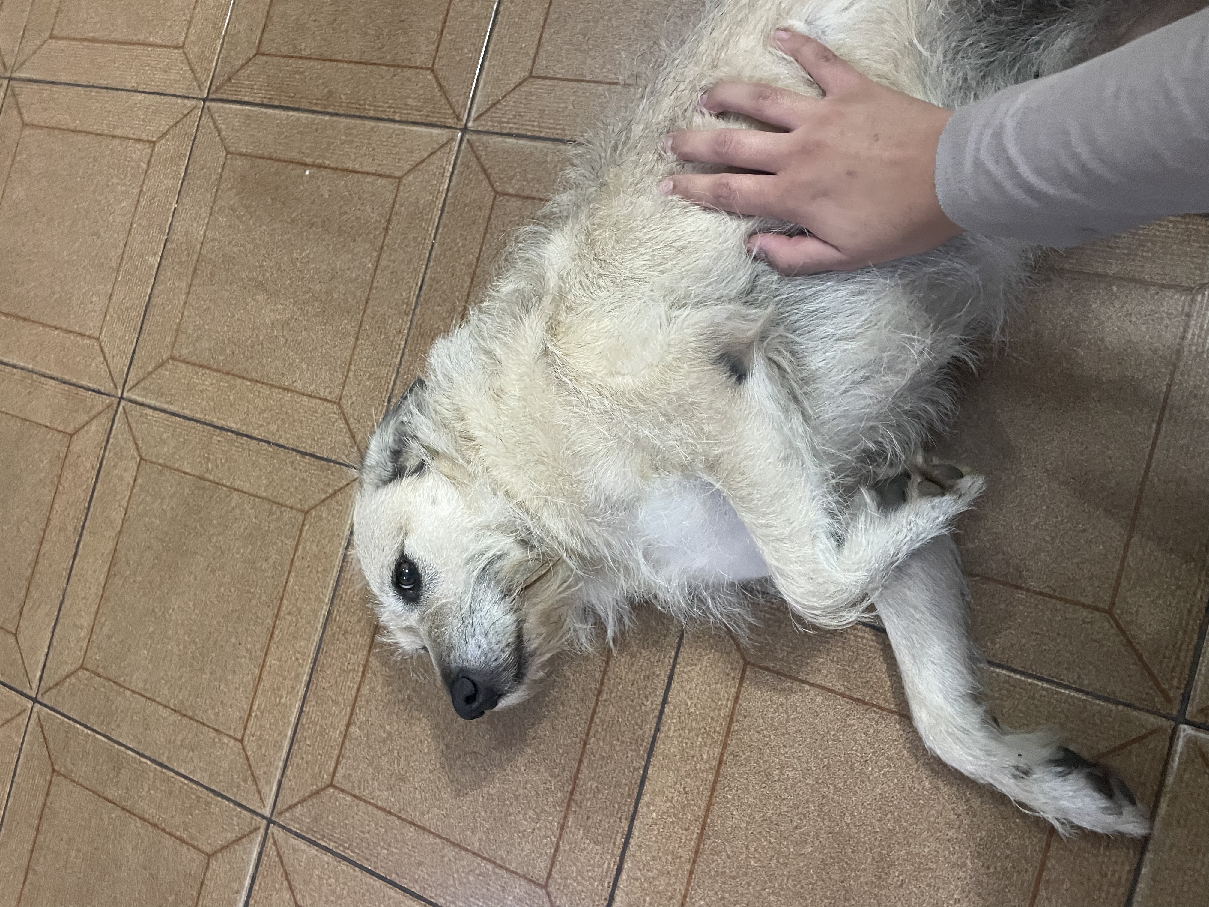 image-8