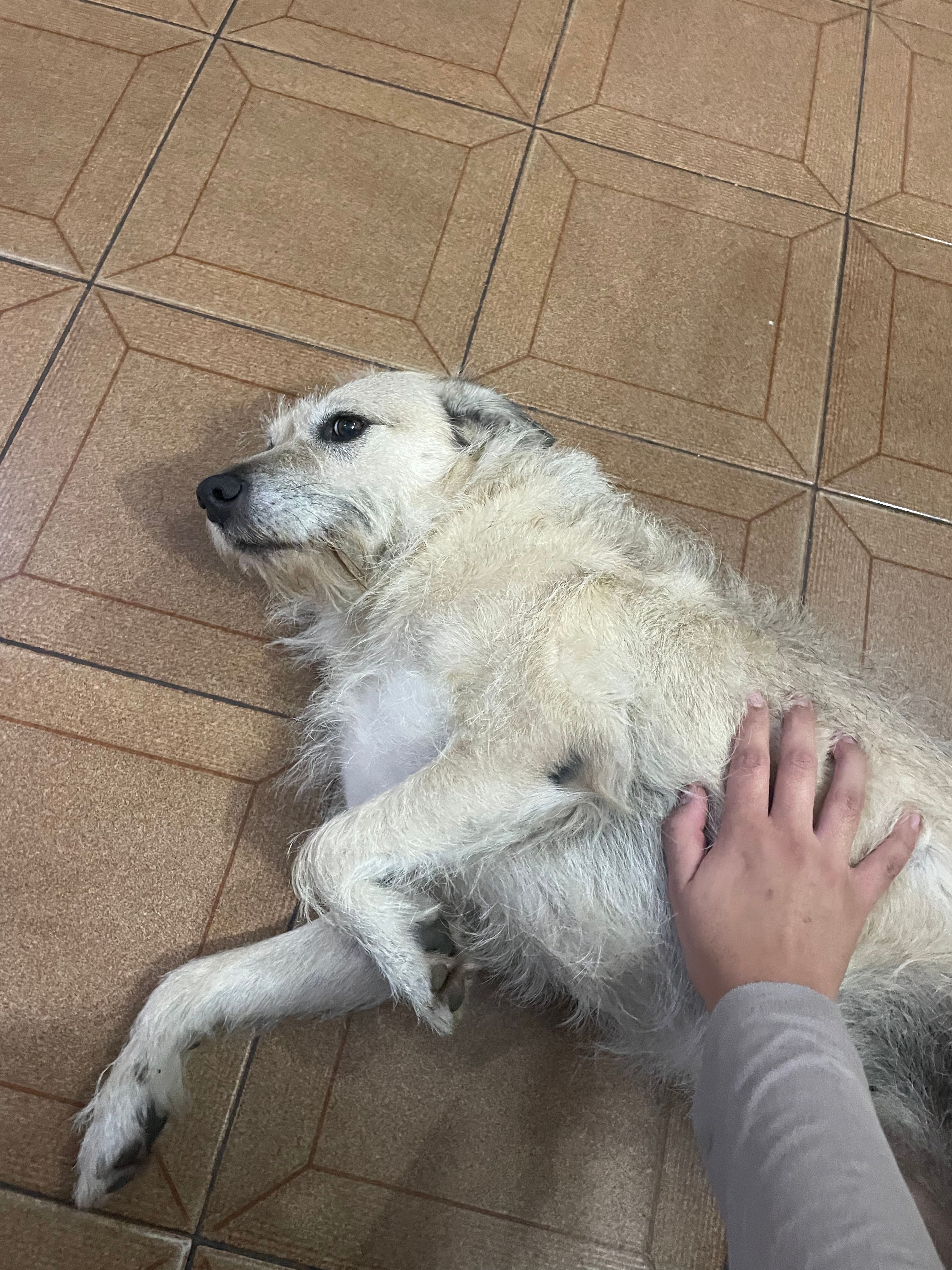image-8