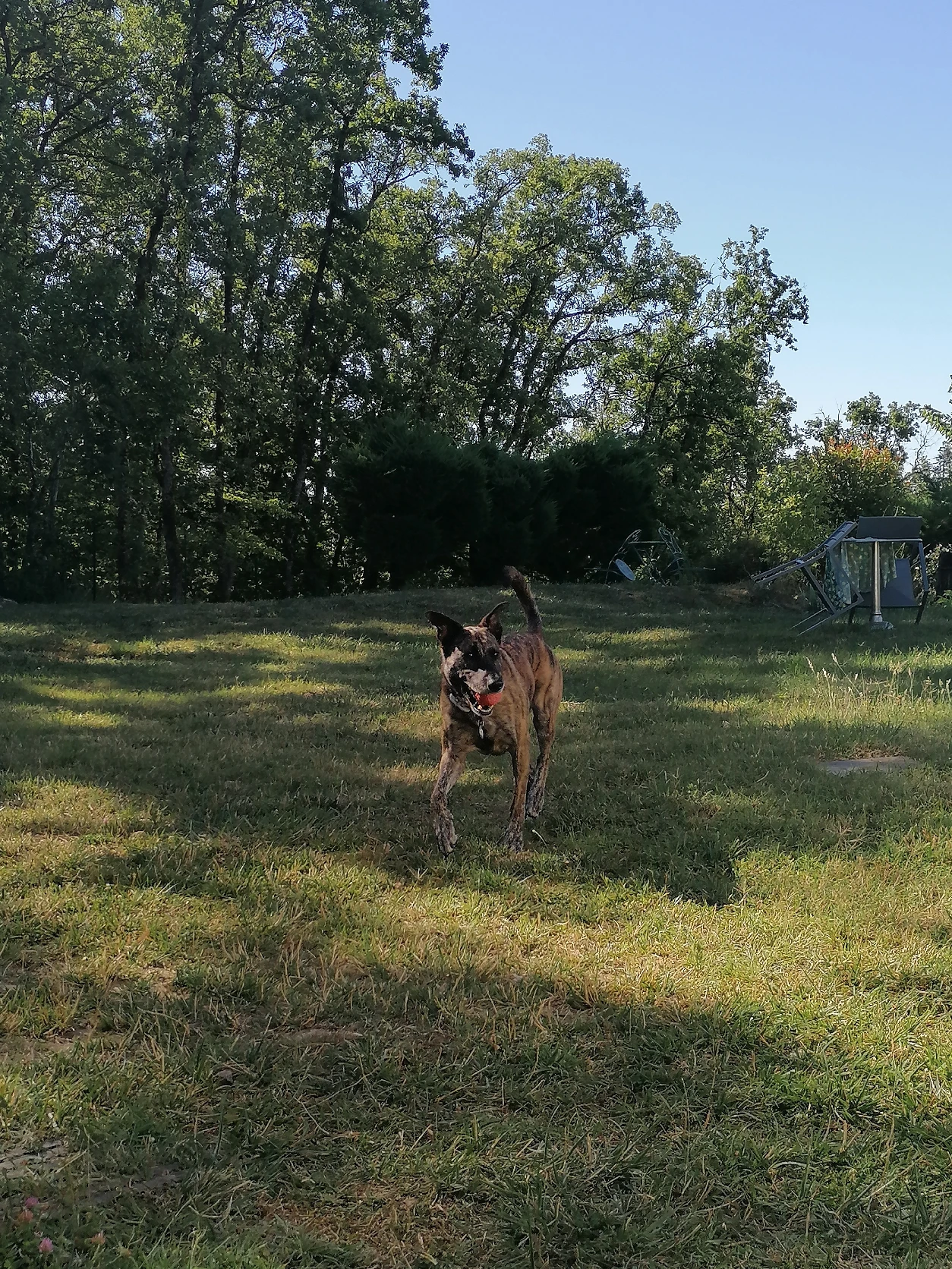 image-10