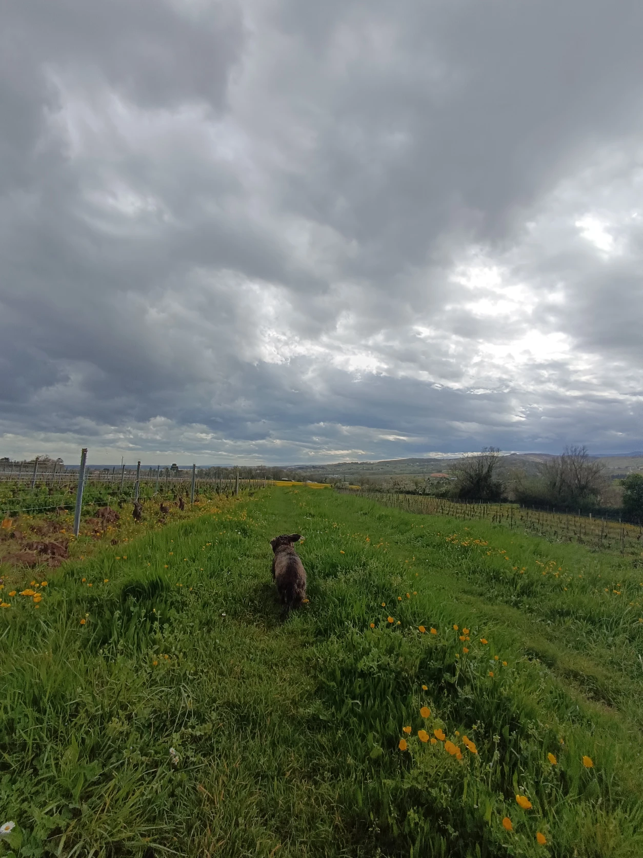 image-4