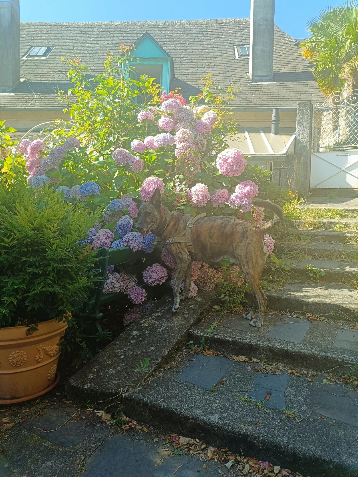 image-8