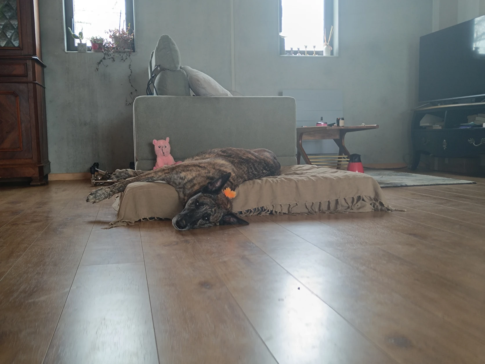 image-9