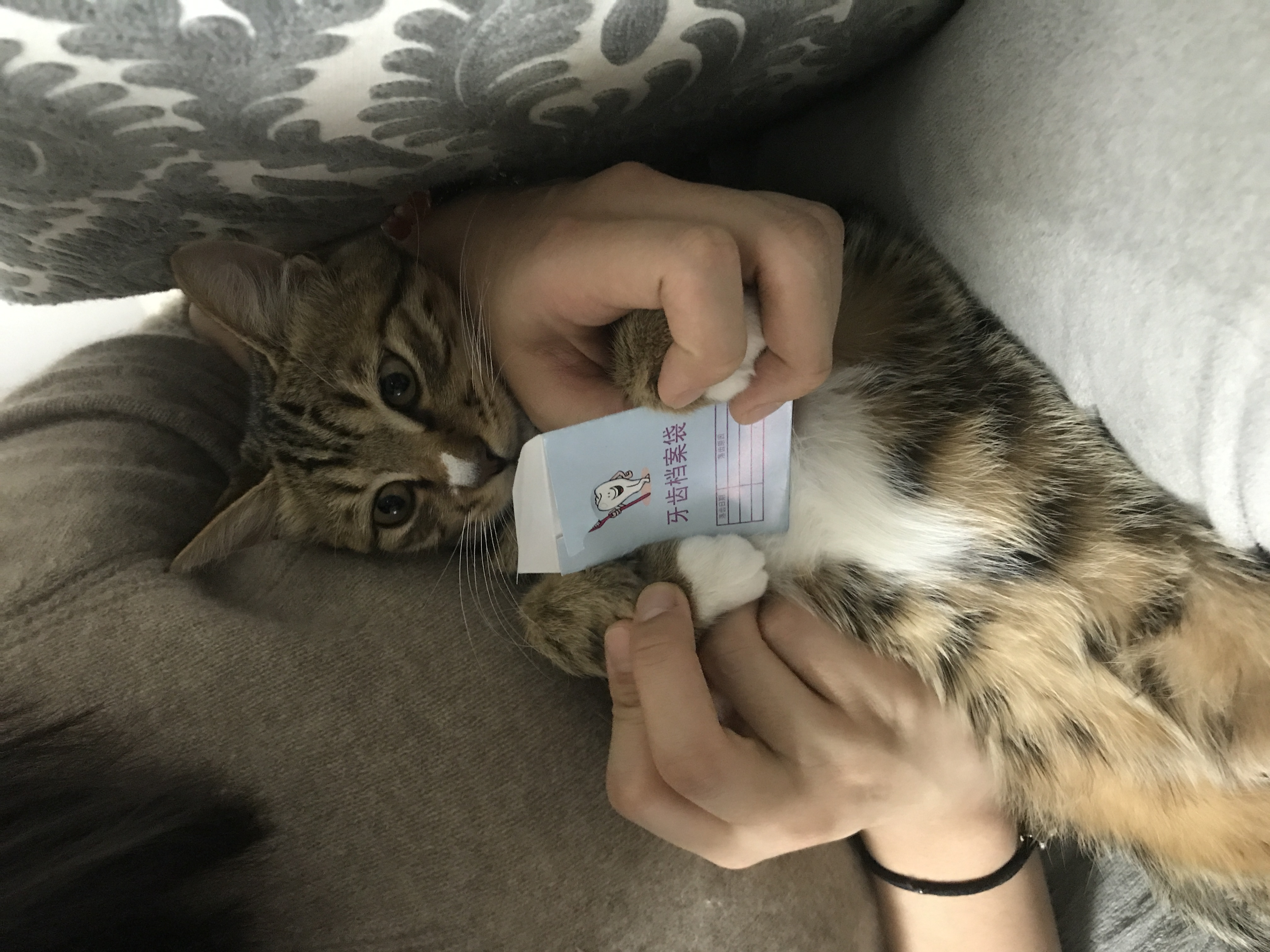 image-8