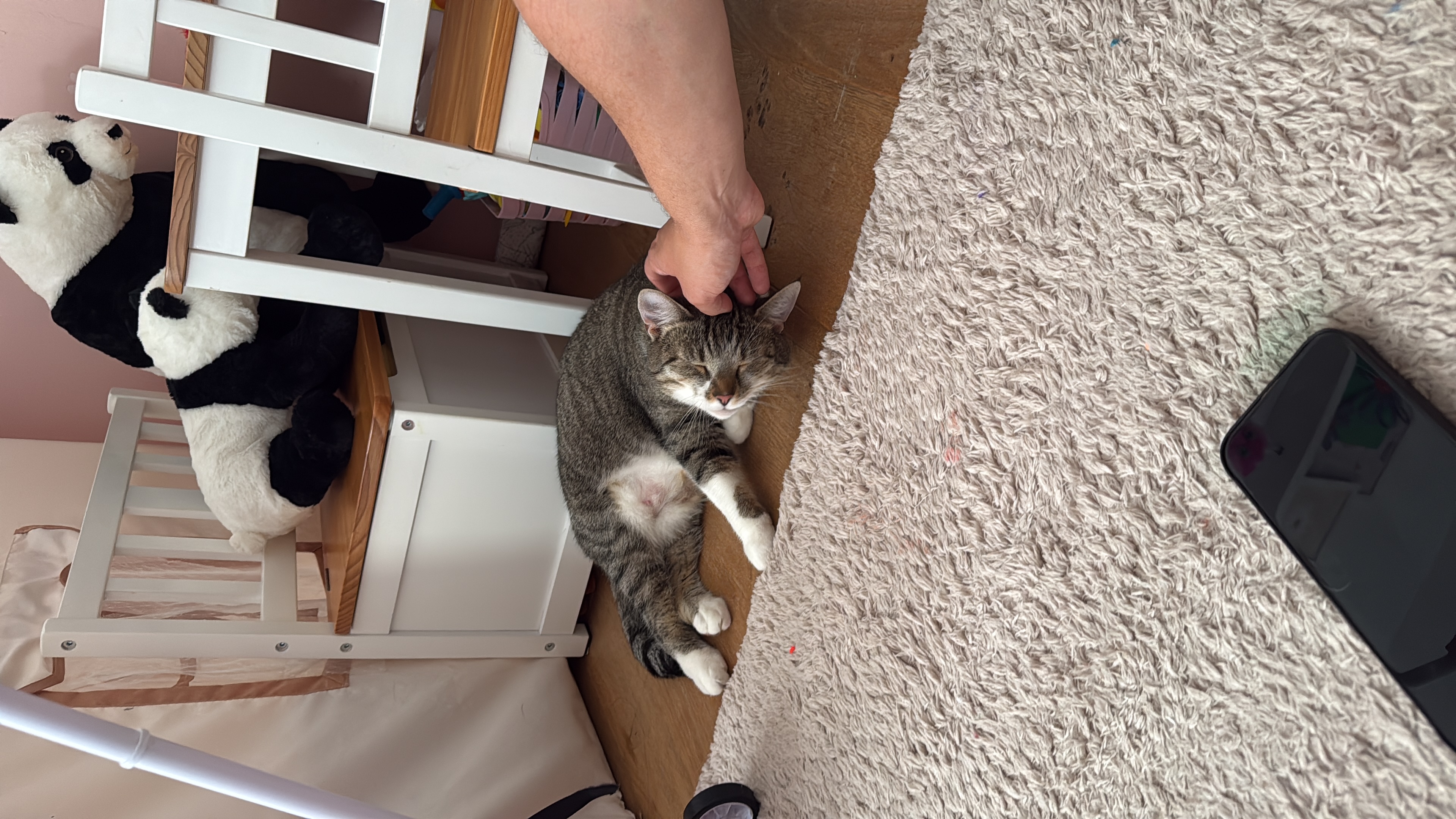 image-16