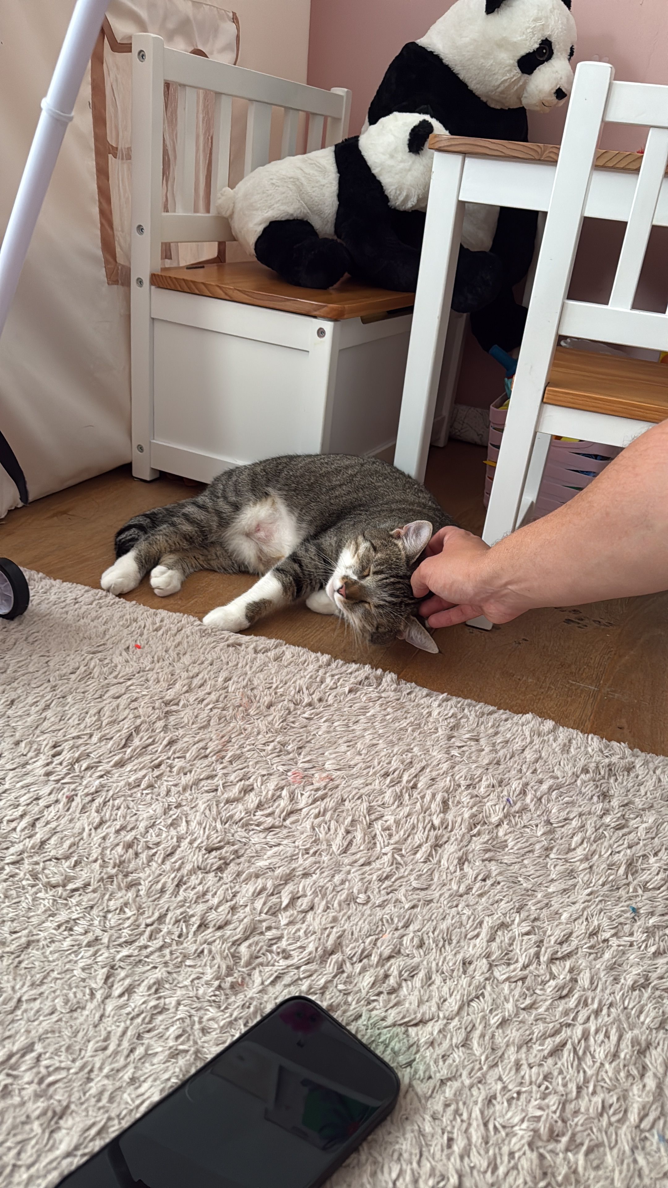 image-16