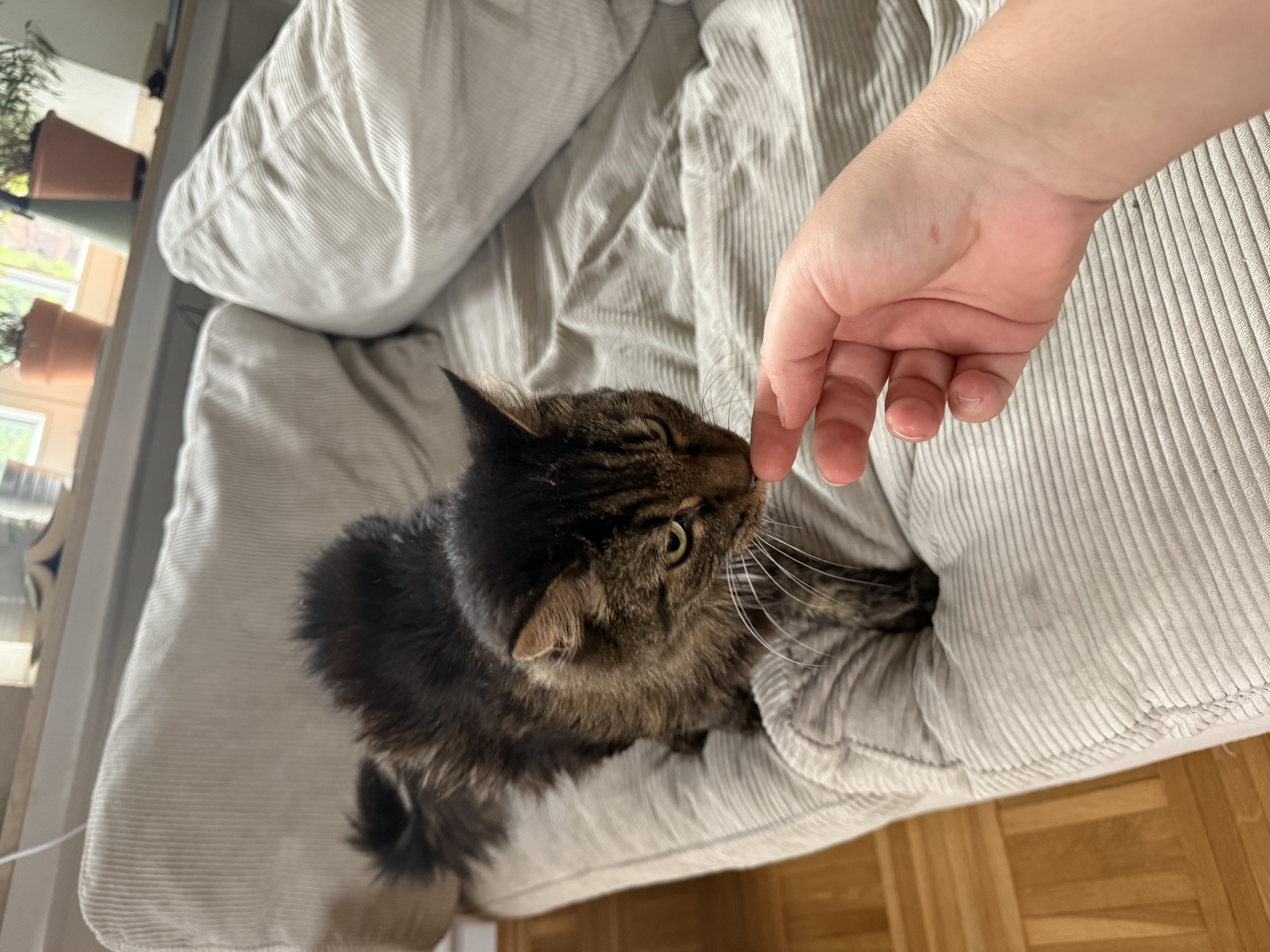image-14
