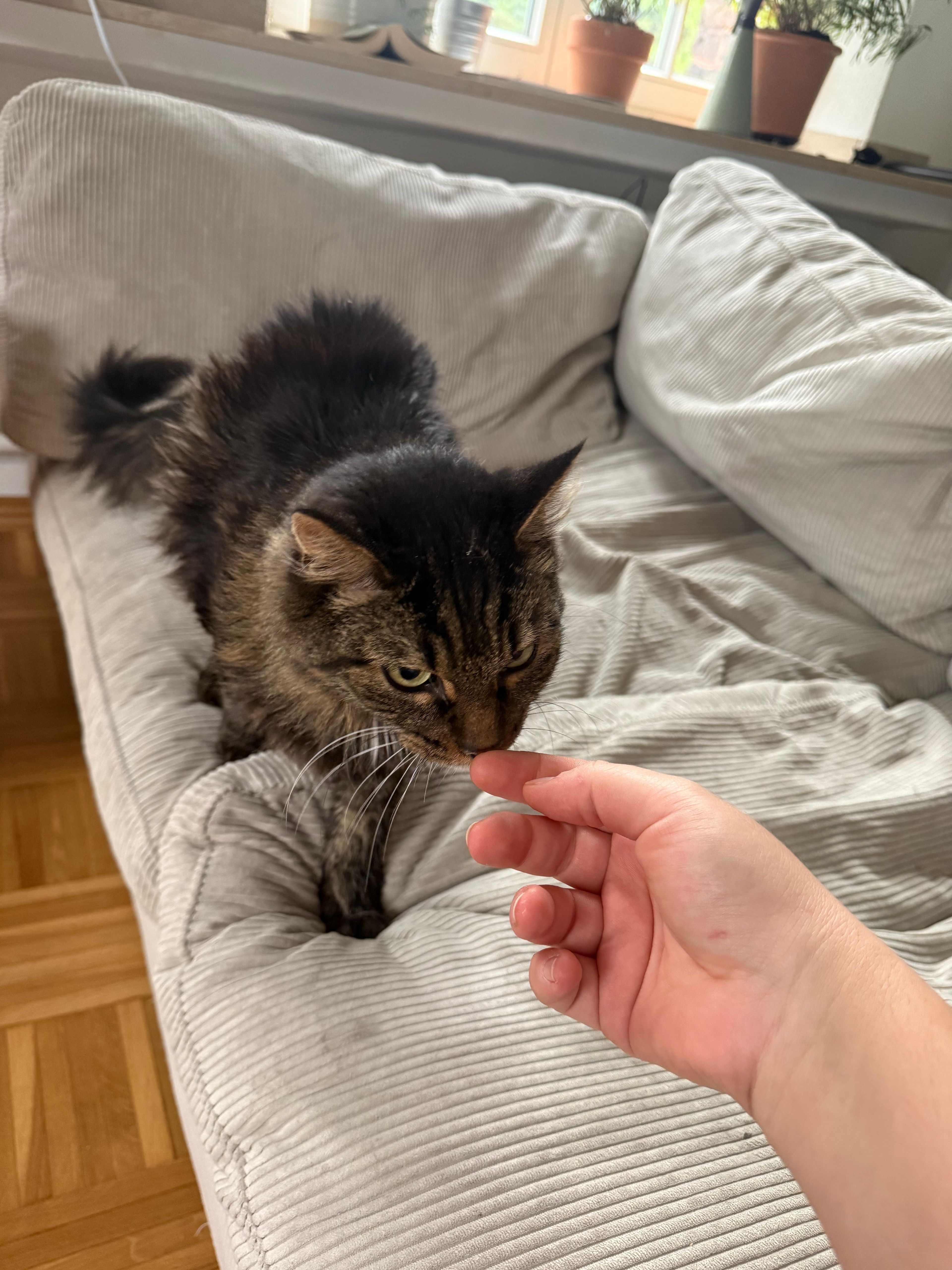 image-14