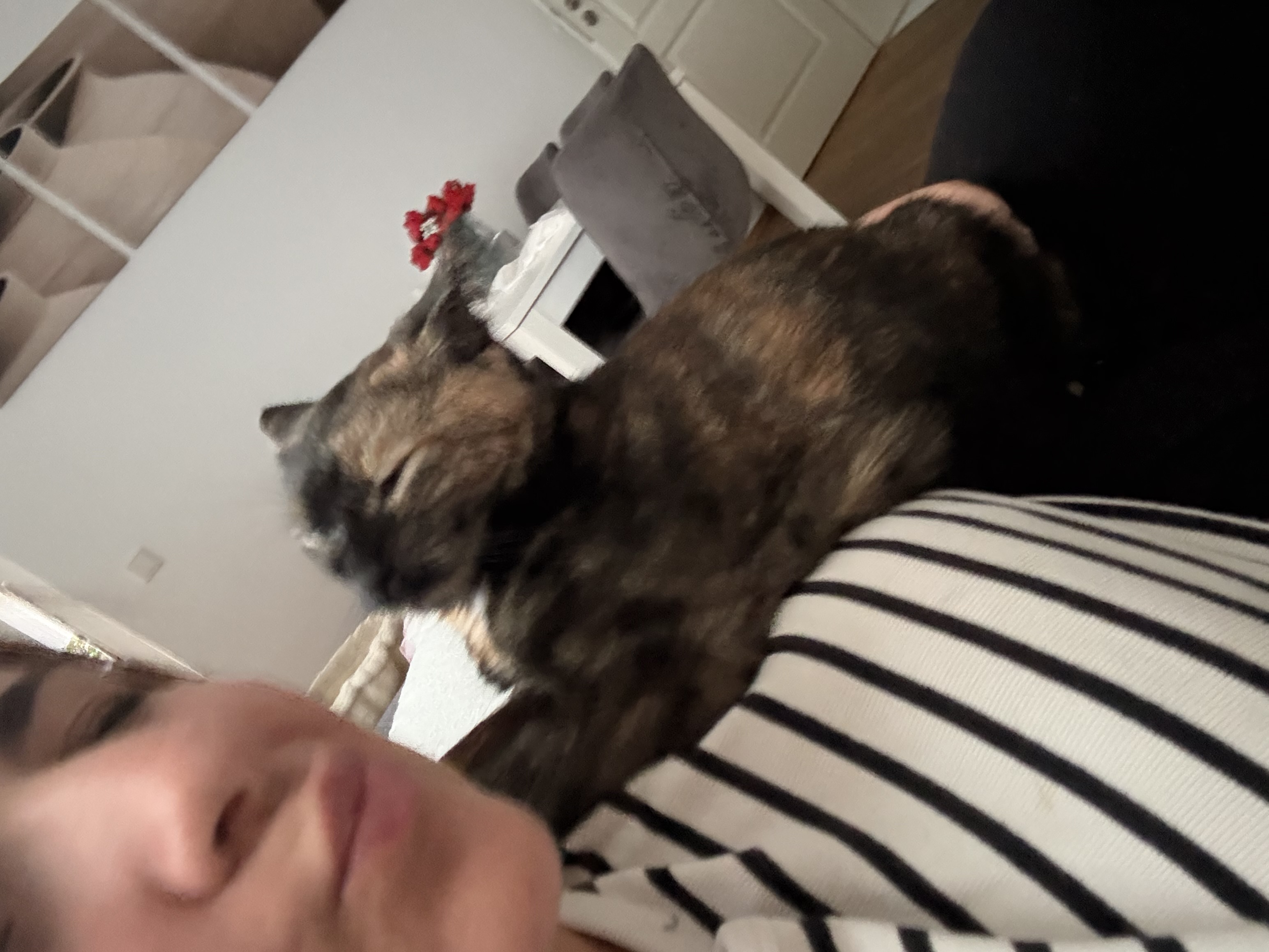 image-18