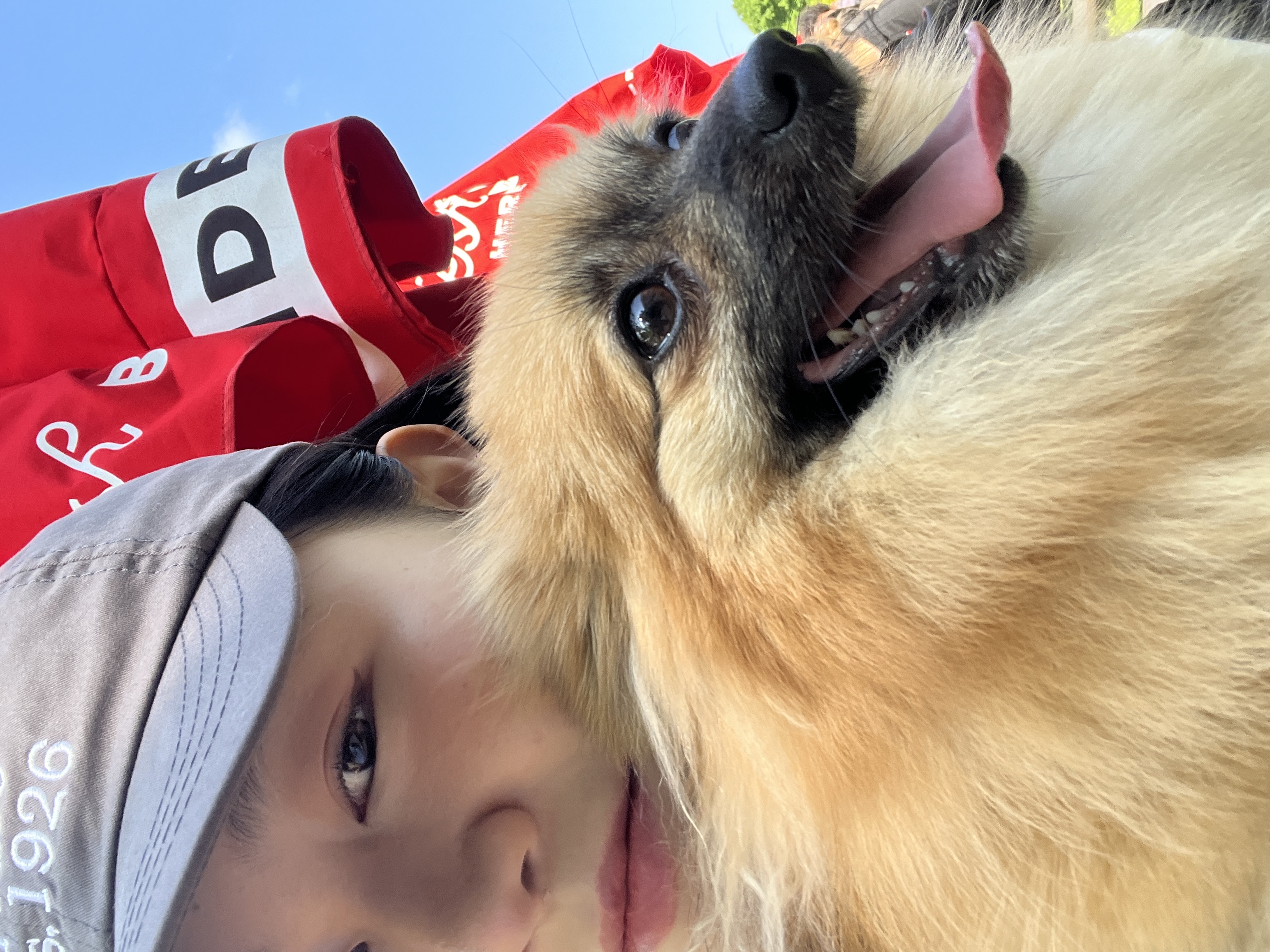 image-10