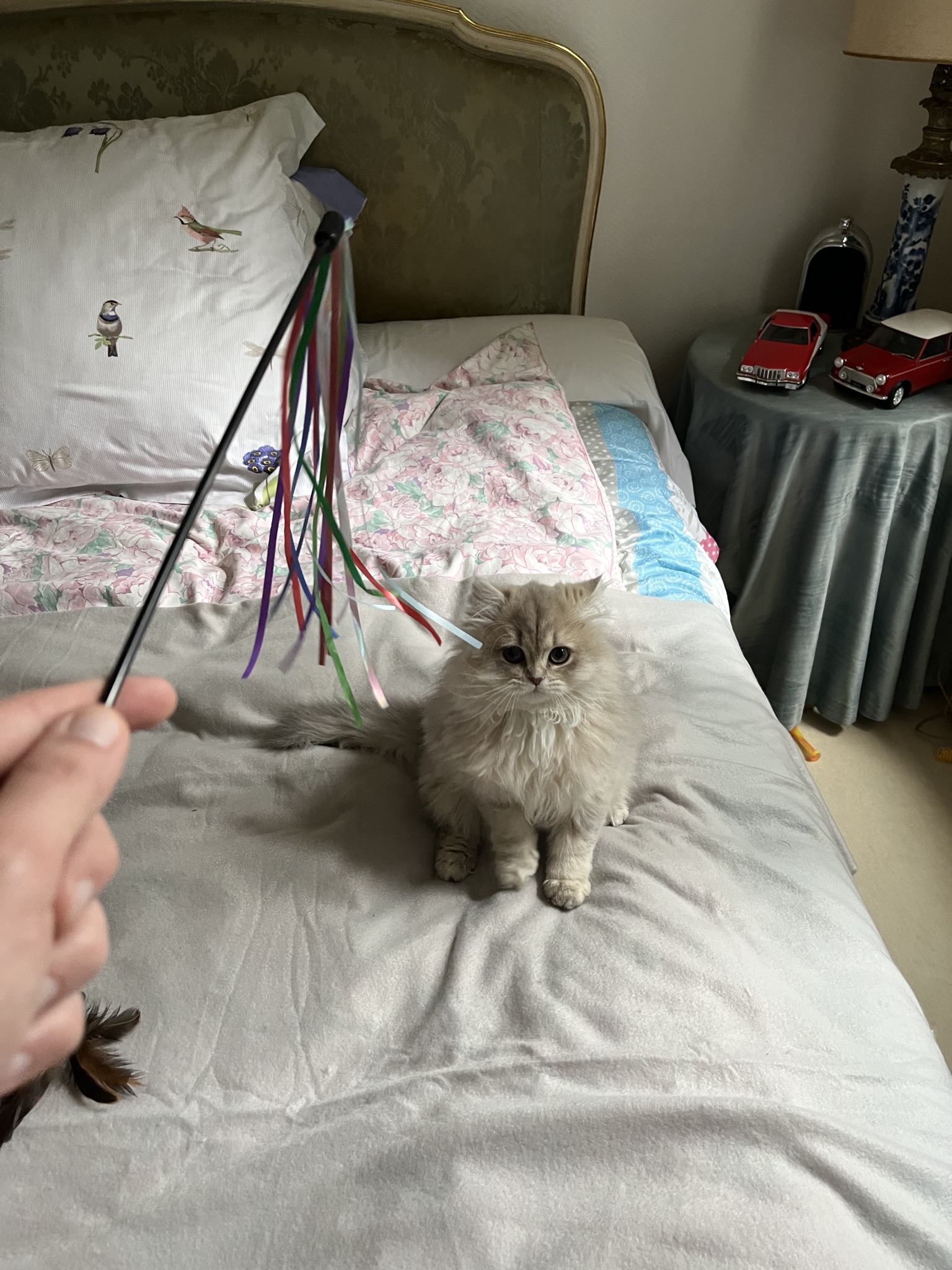image-8