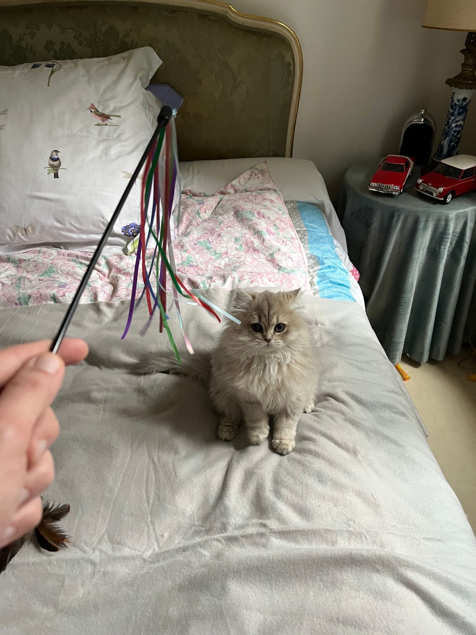 image-8
