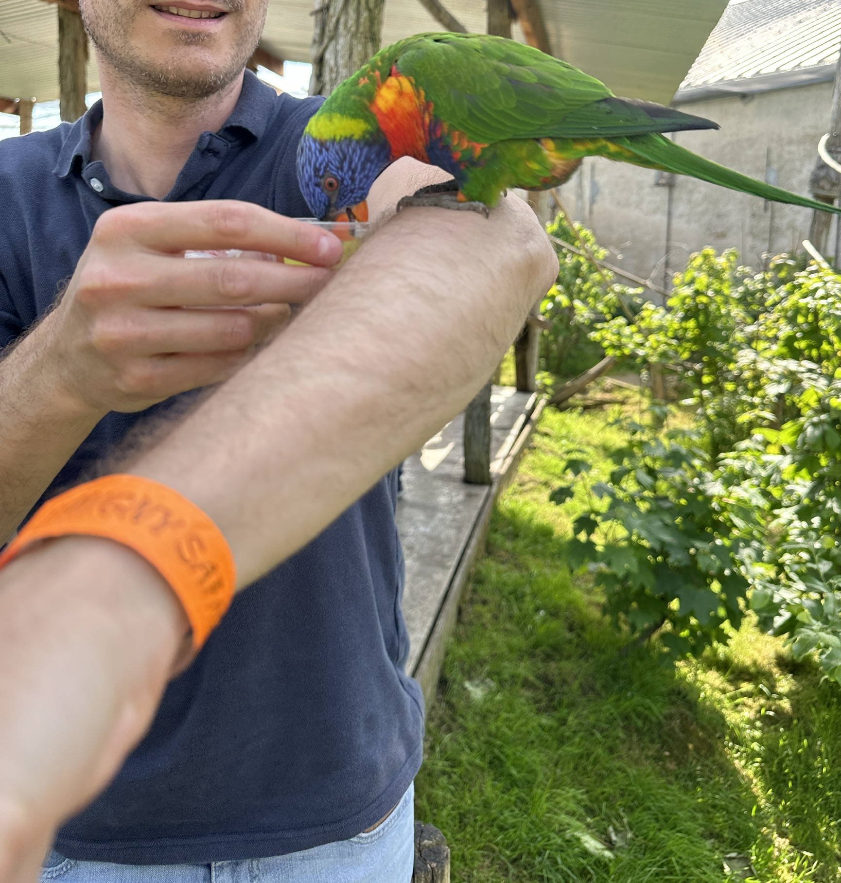 image-6