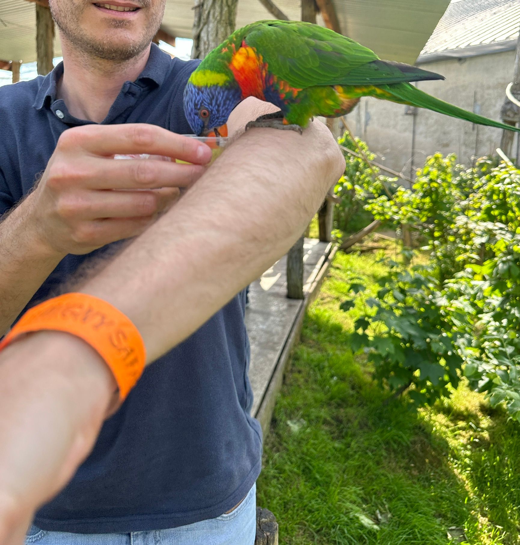 image-6