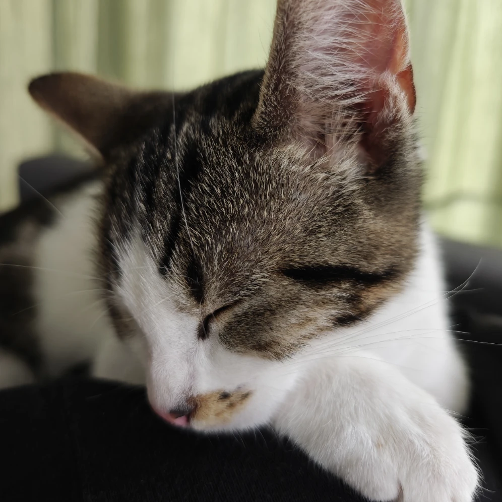 Yuki