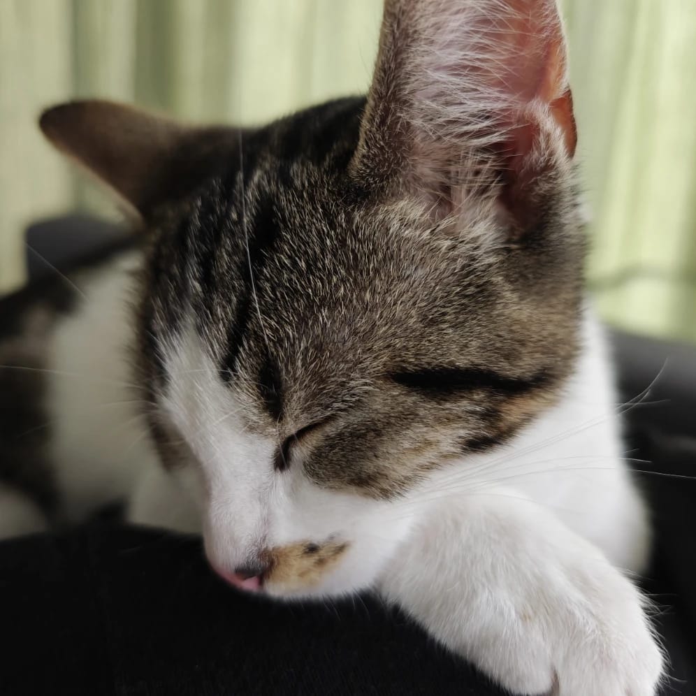 Yuki