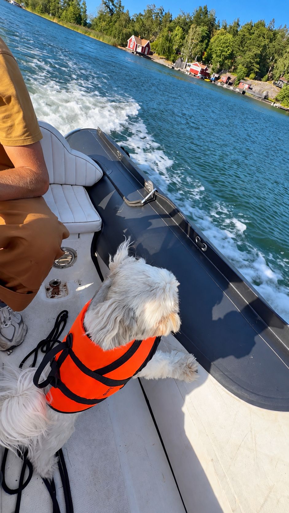 image-6