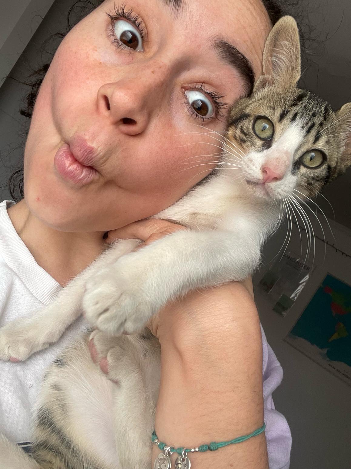 image-19
