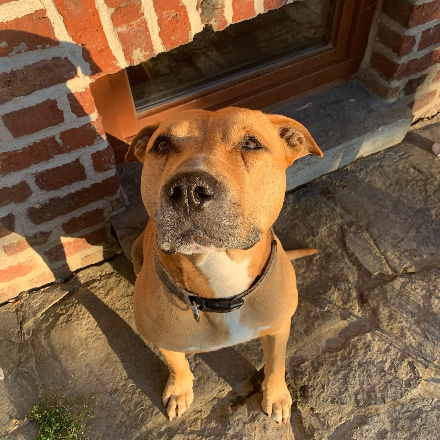 Billy 