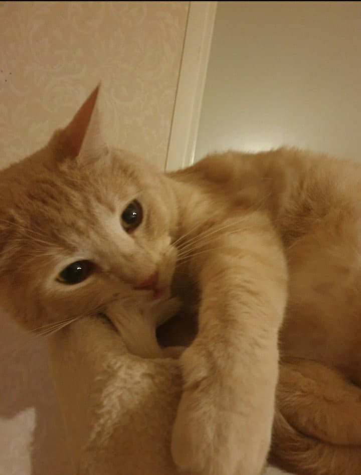 image-35