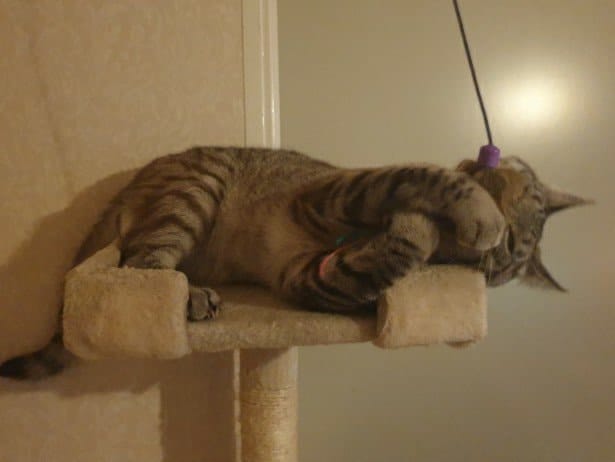 image-33