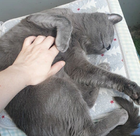image-43