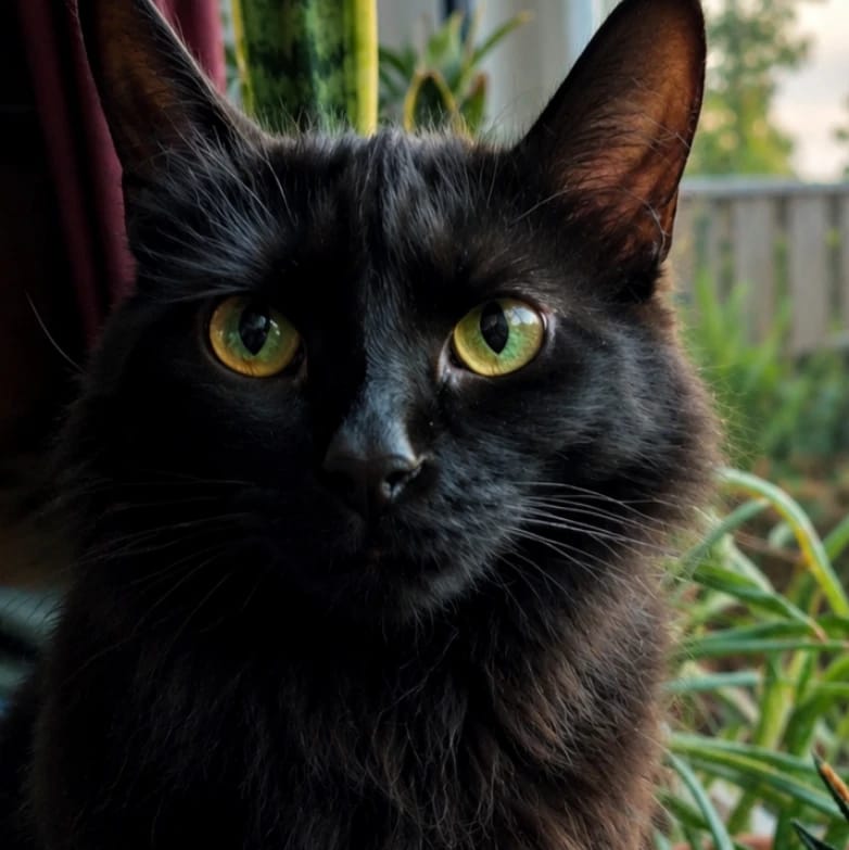 Freja