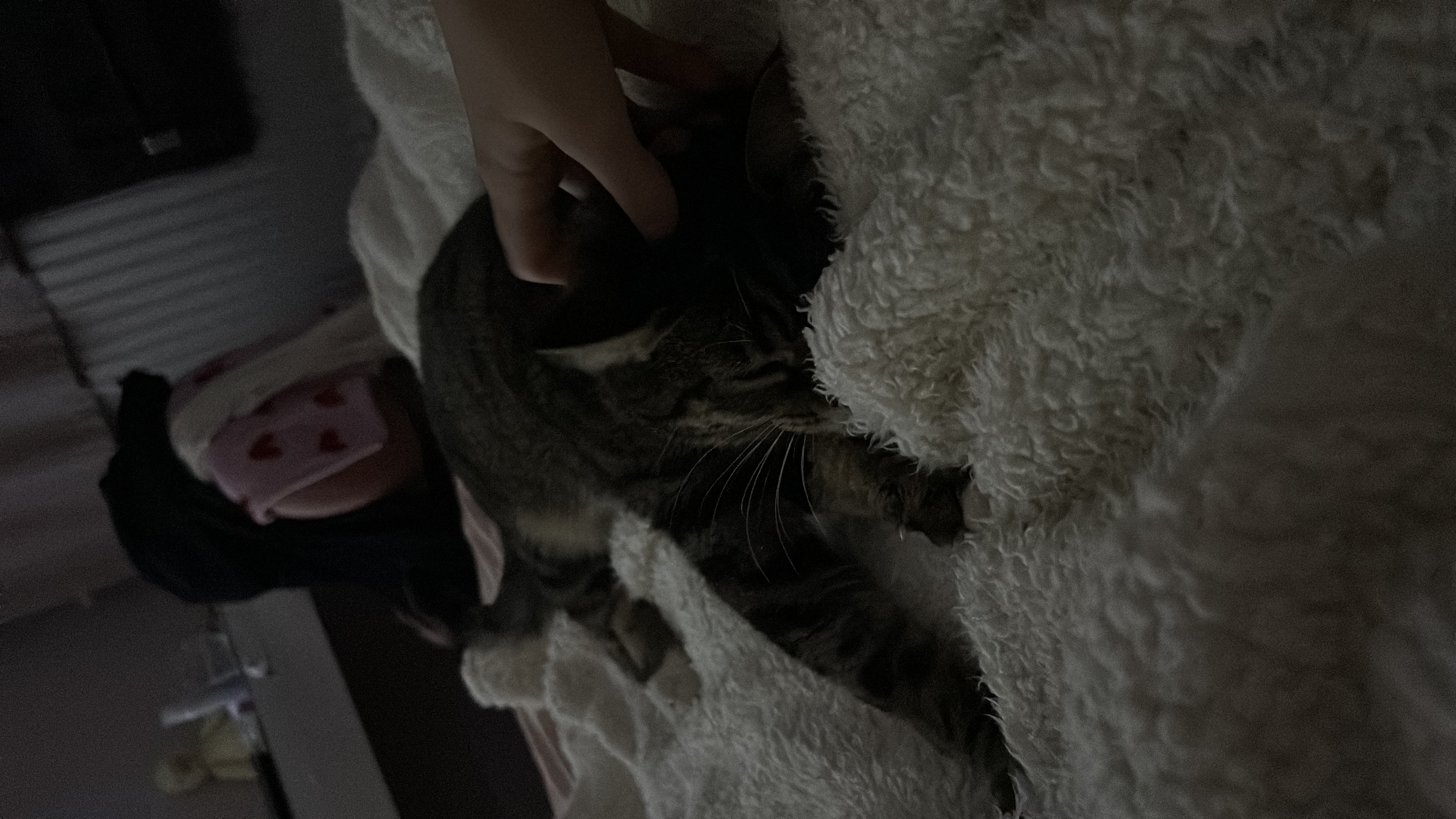 image-16