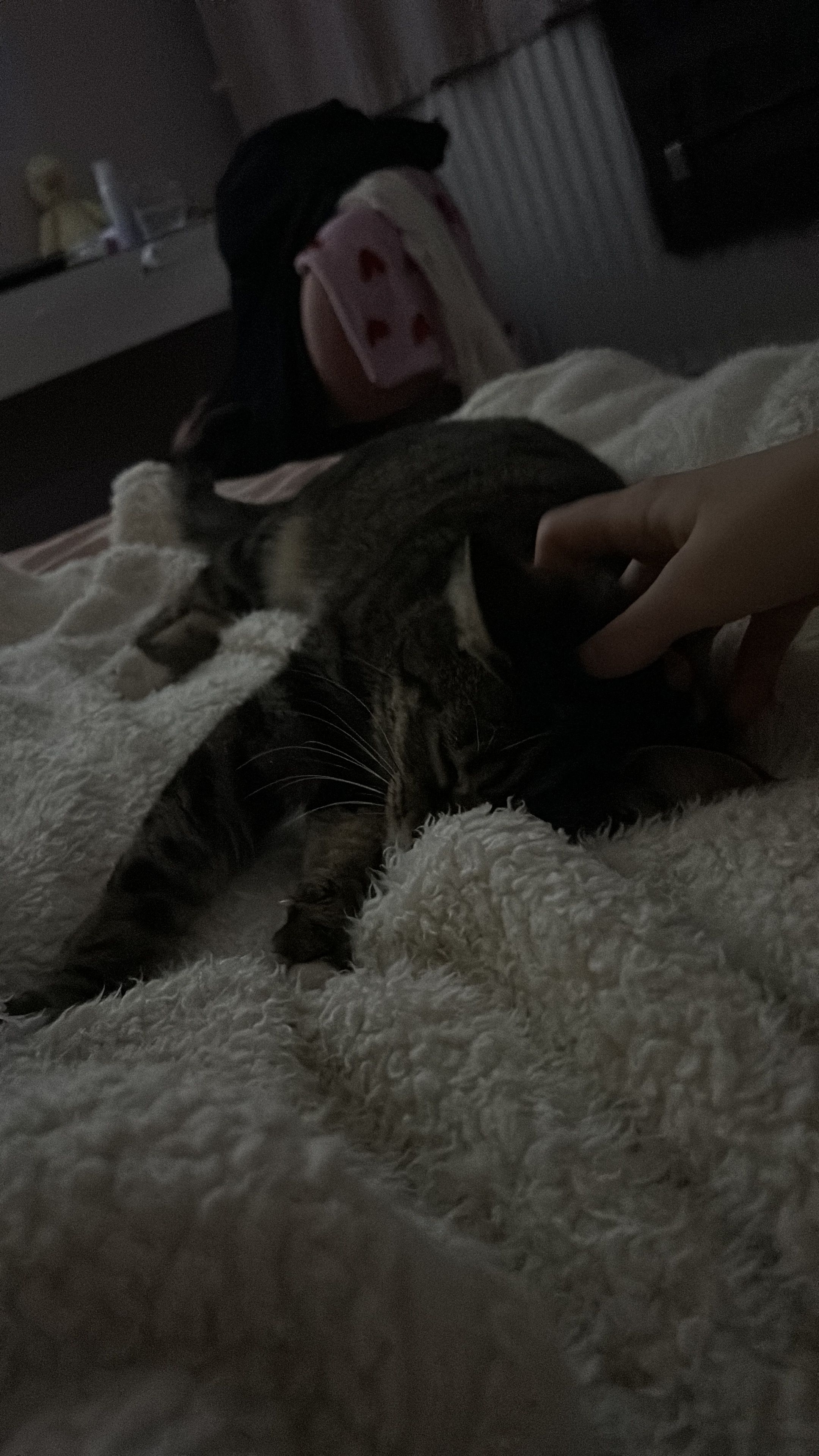 image-16