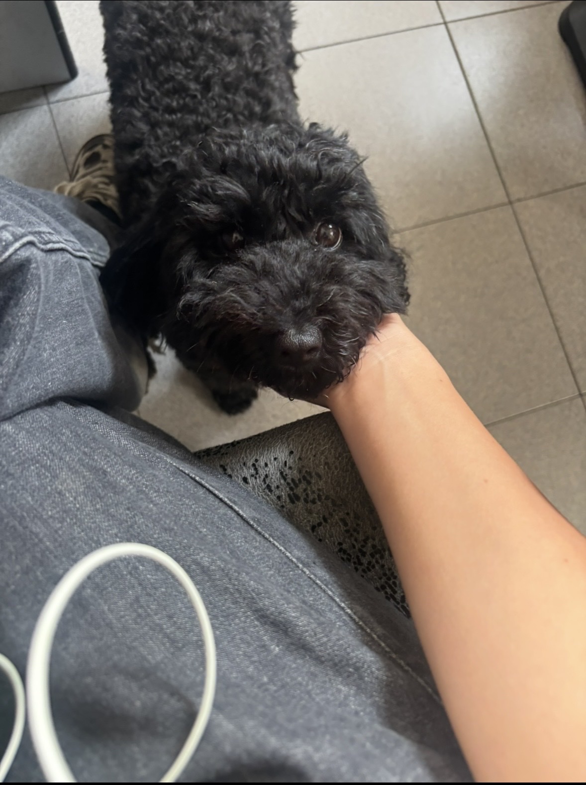 image-7