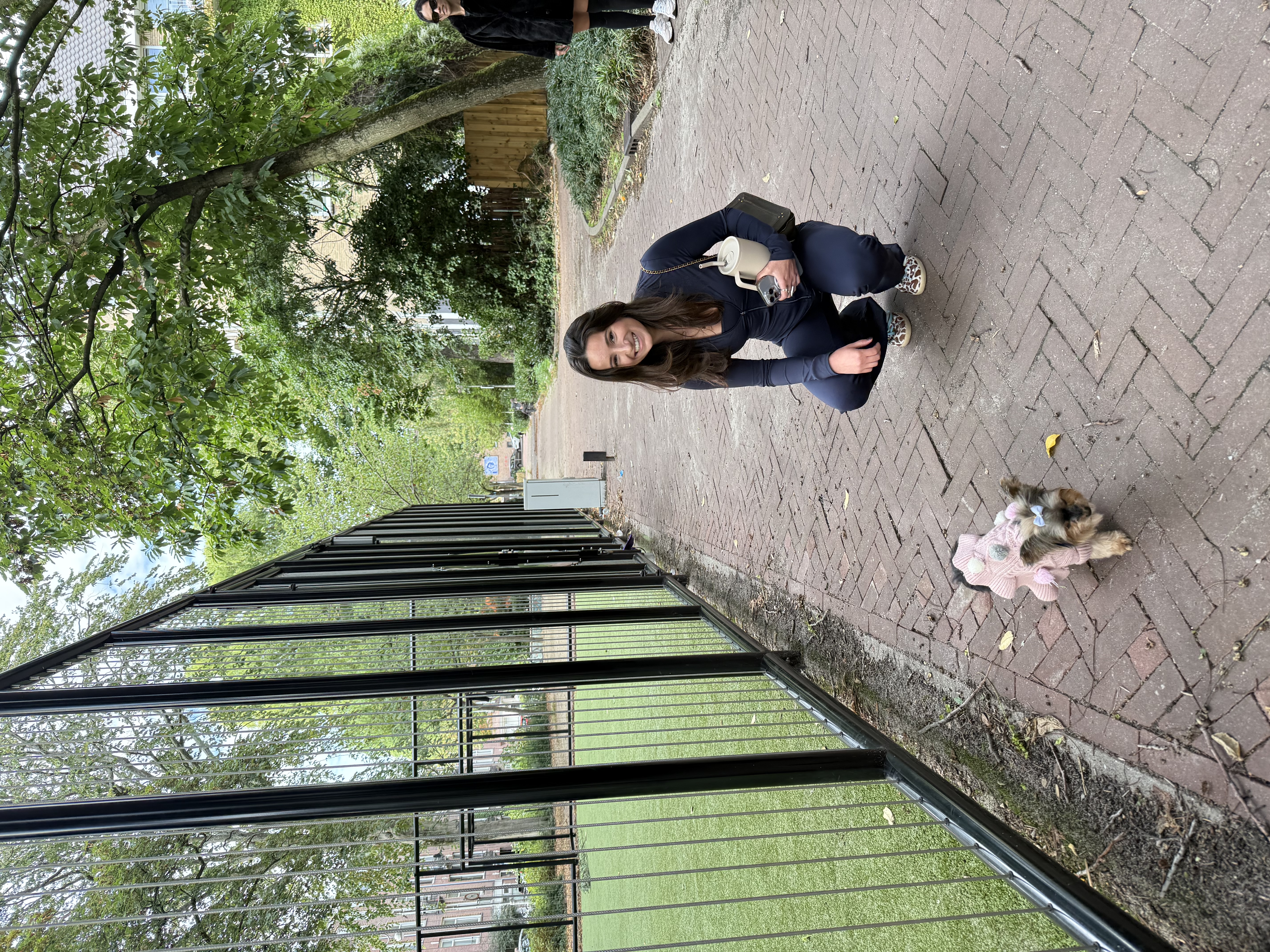 image-5