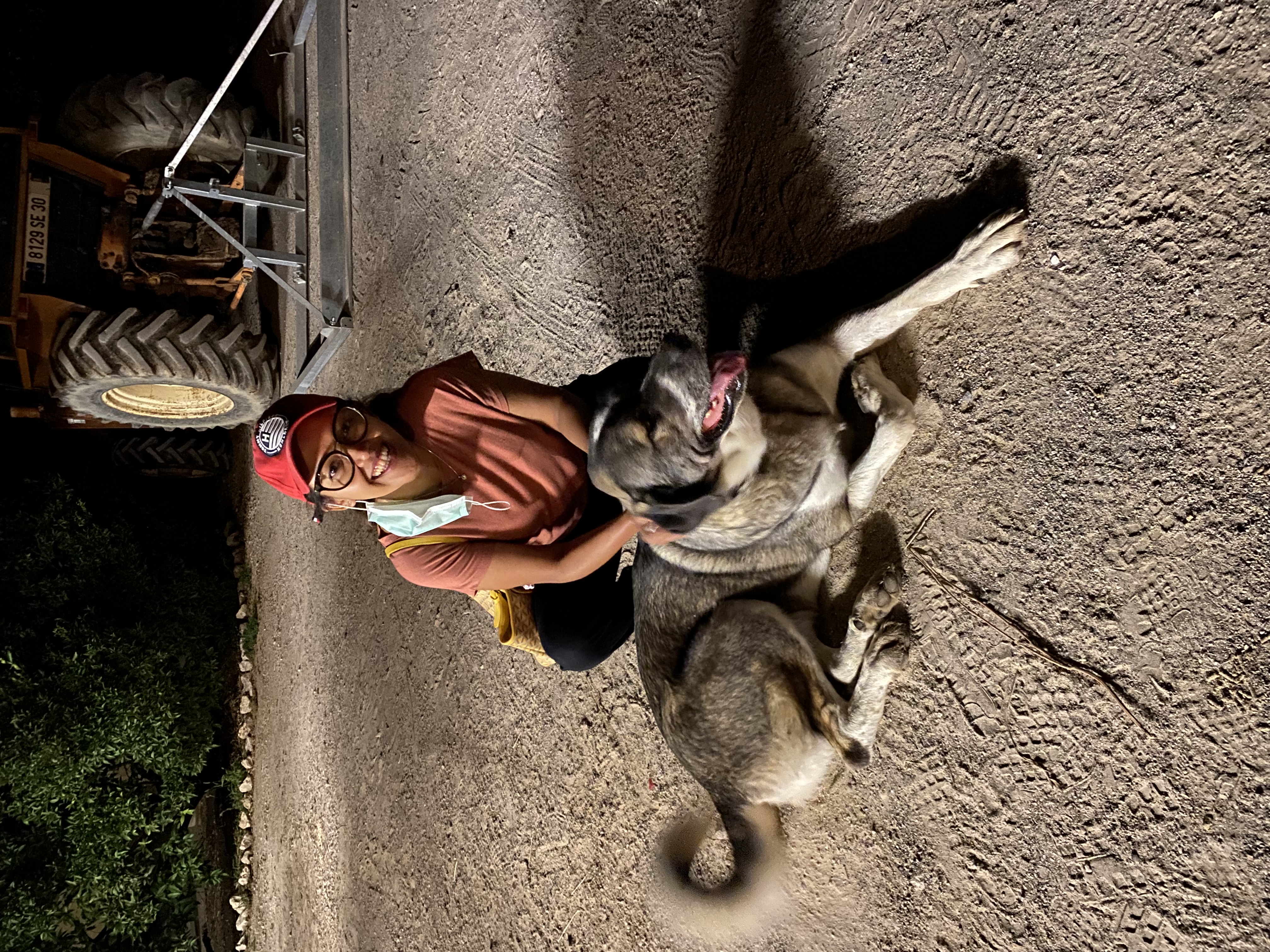 image-9