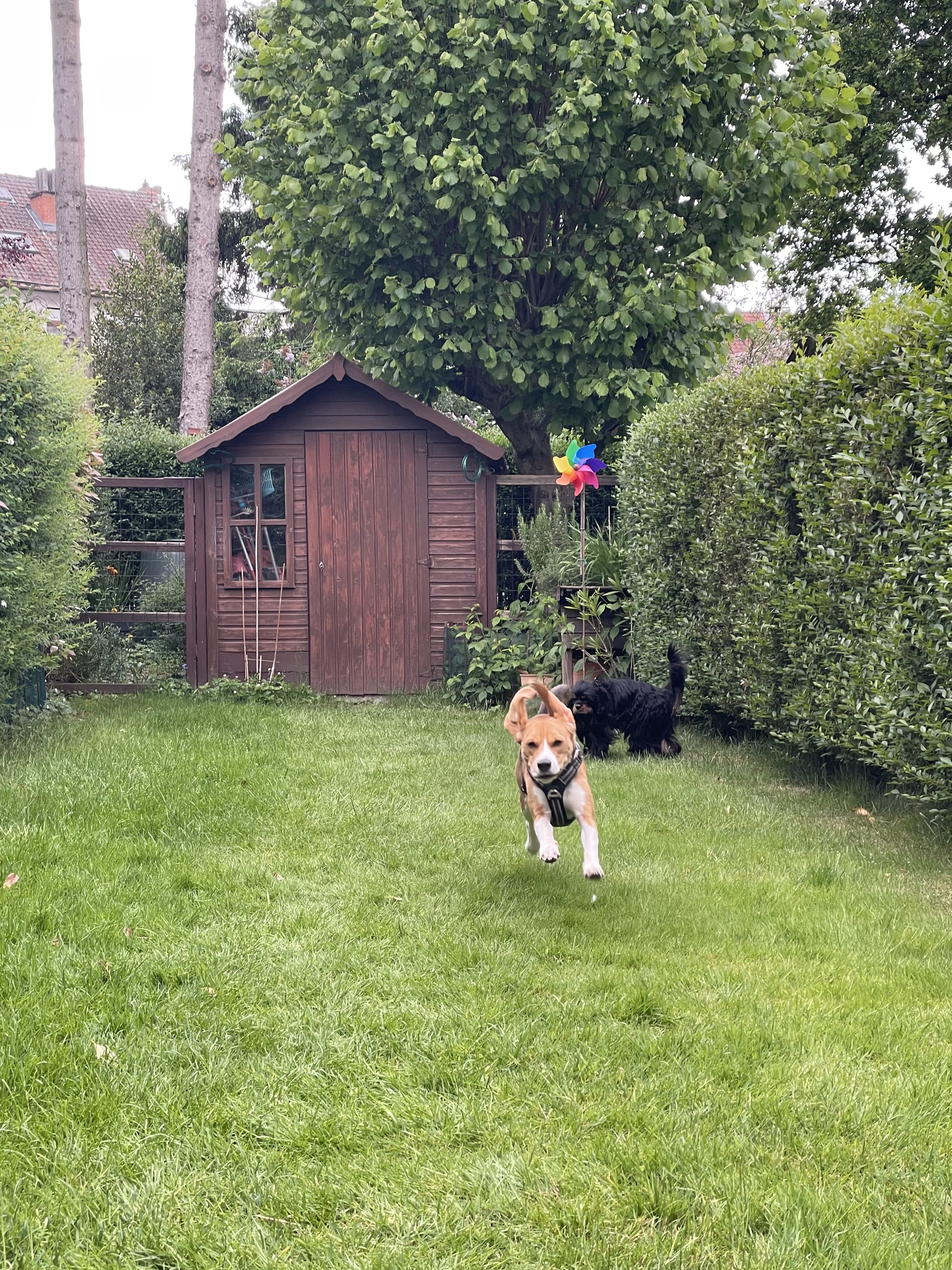 image-14