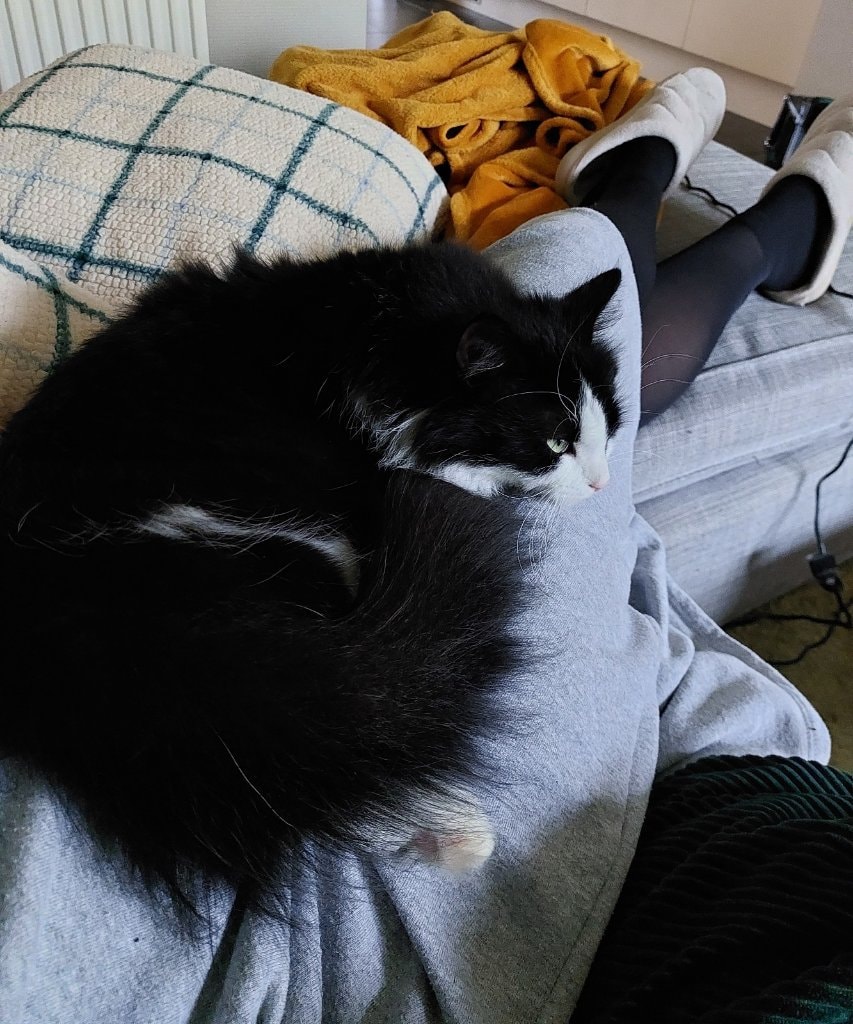 image-6